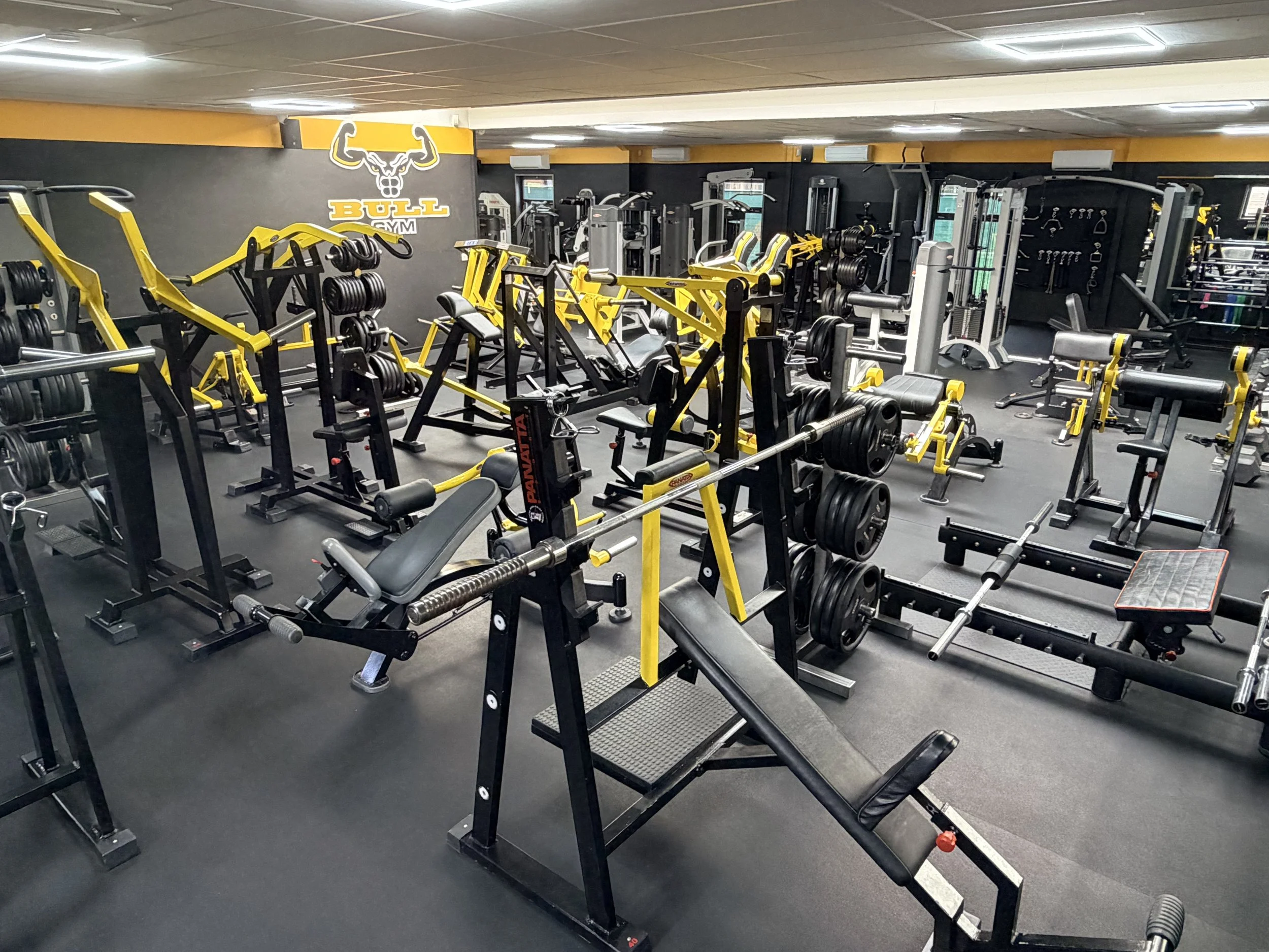 personal training bull gym essen