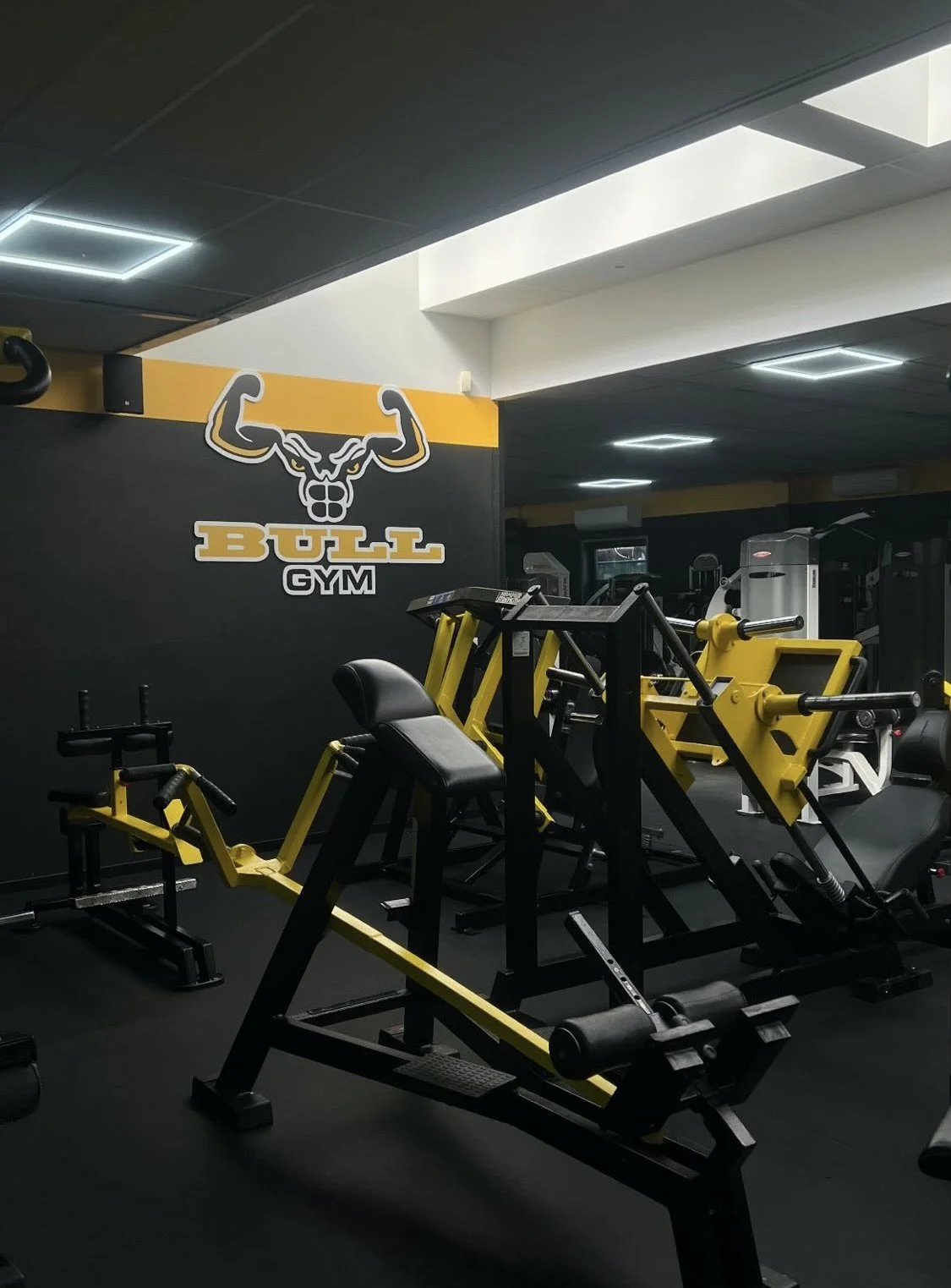 kracht bull gym essen