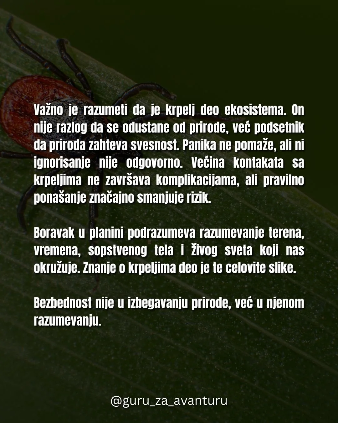 Krpelji u planini kompletan vodič za bezbedan boravak u prirodi.zip - 9.jpeg