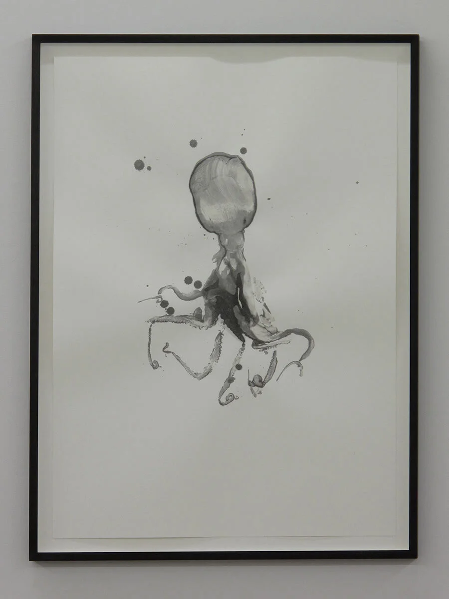 OctopusDrawing2-copy-2 copy.jpg