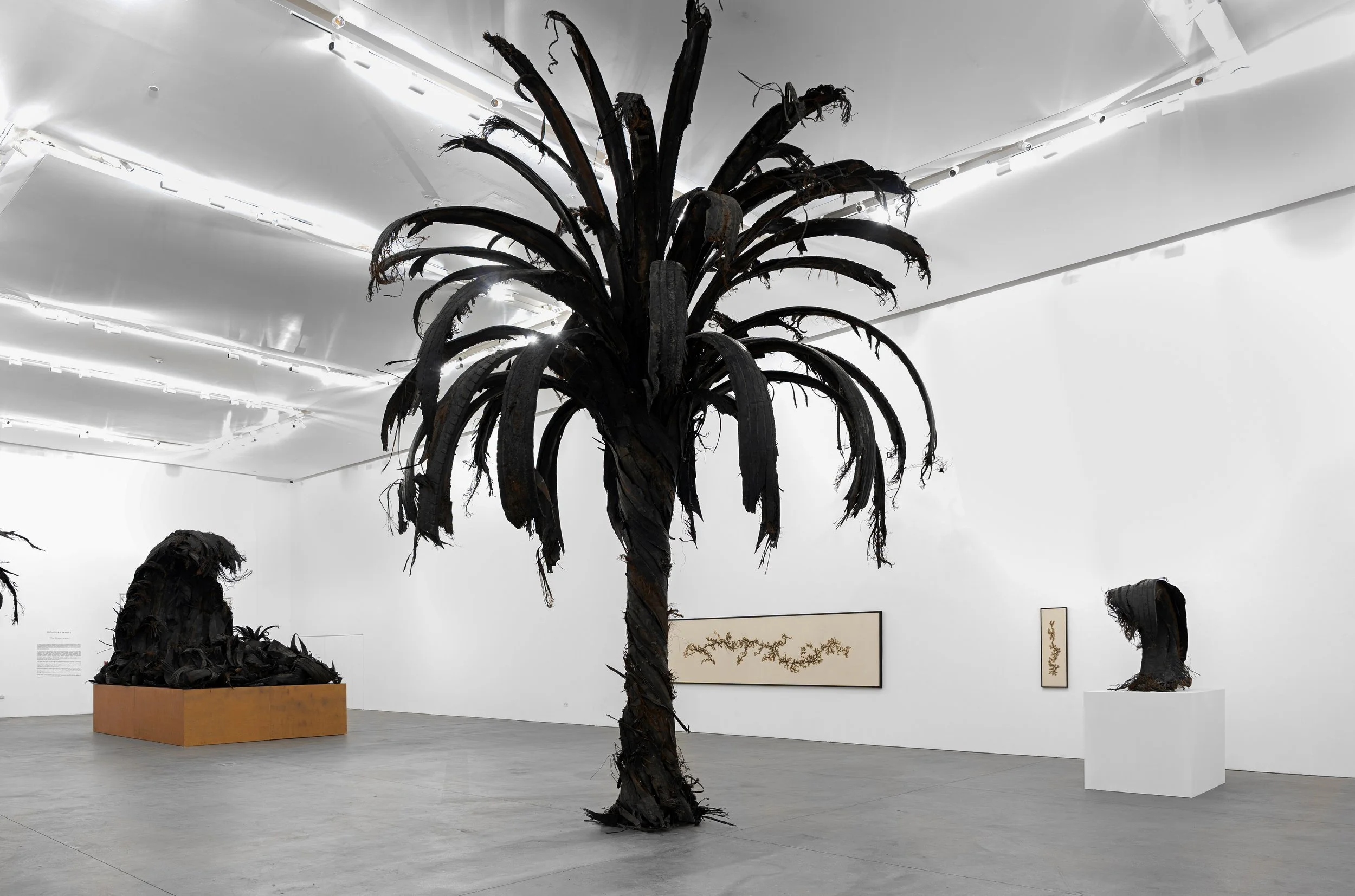 4_DSC03325 copy 2.jpg