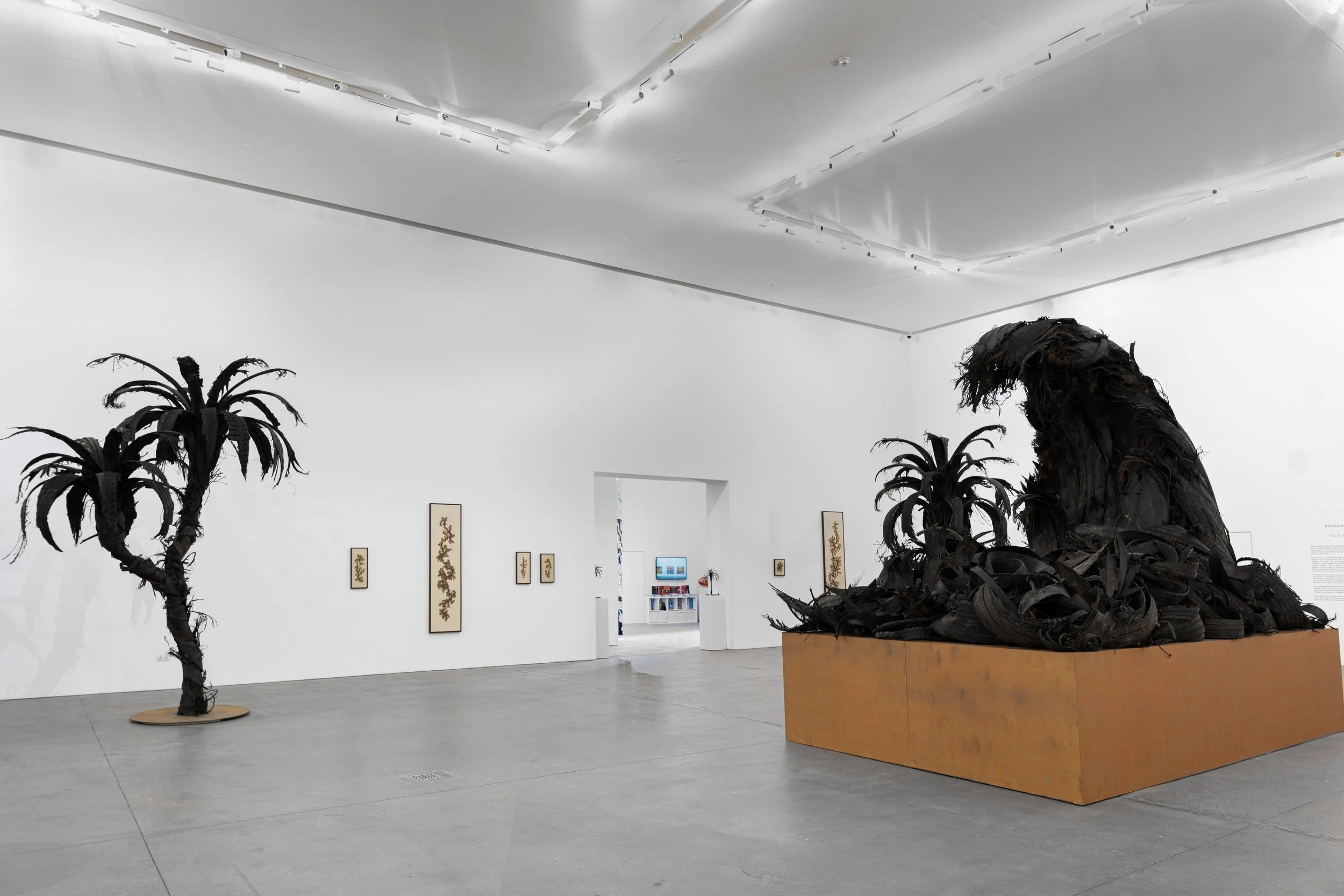 6_DSC03331 copy 2.jpg