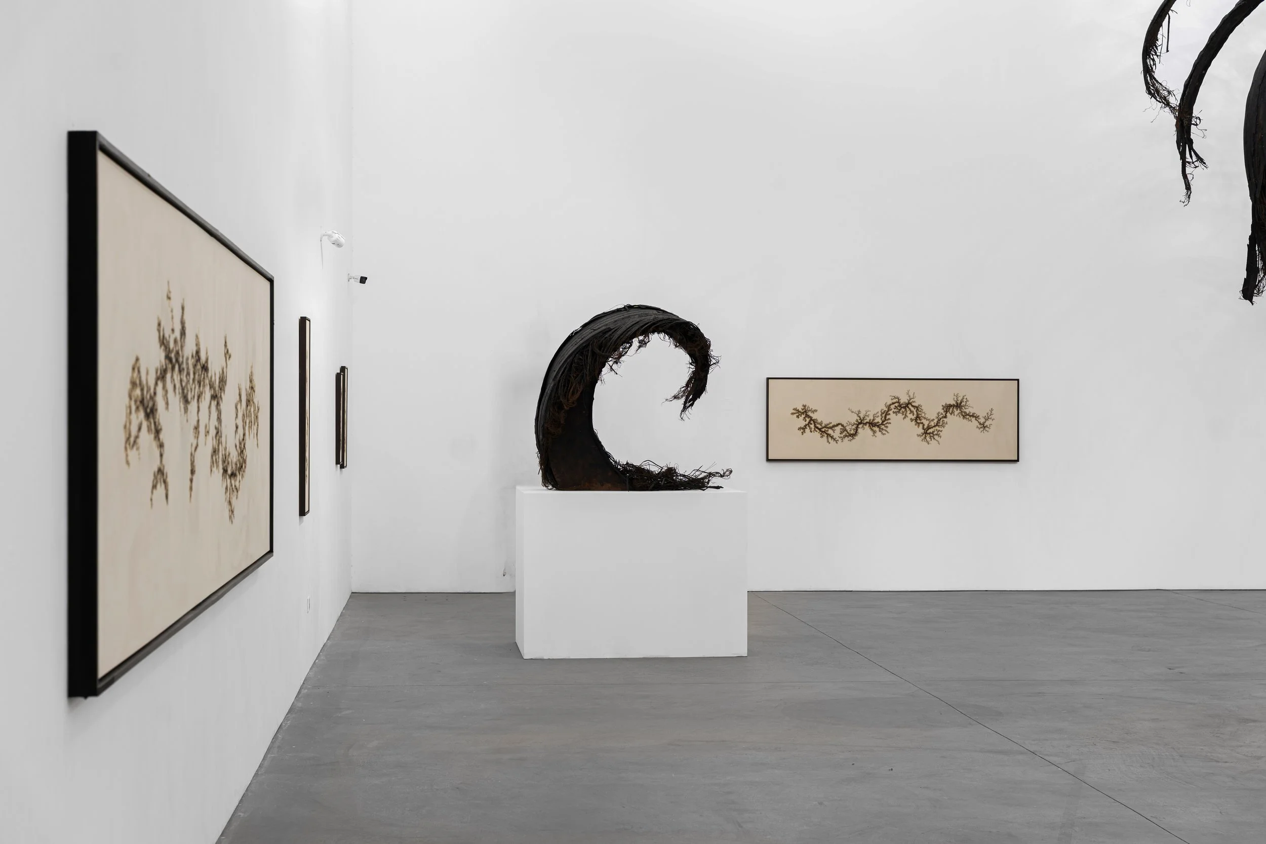 3_DSC03362 copy 2.jpg