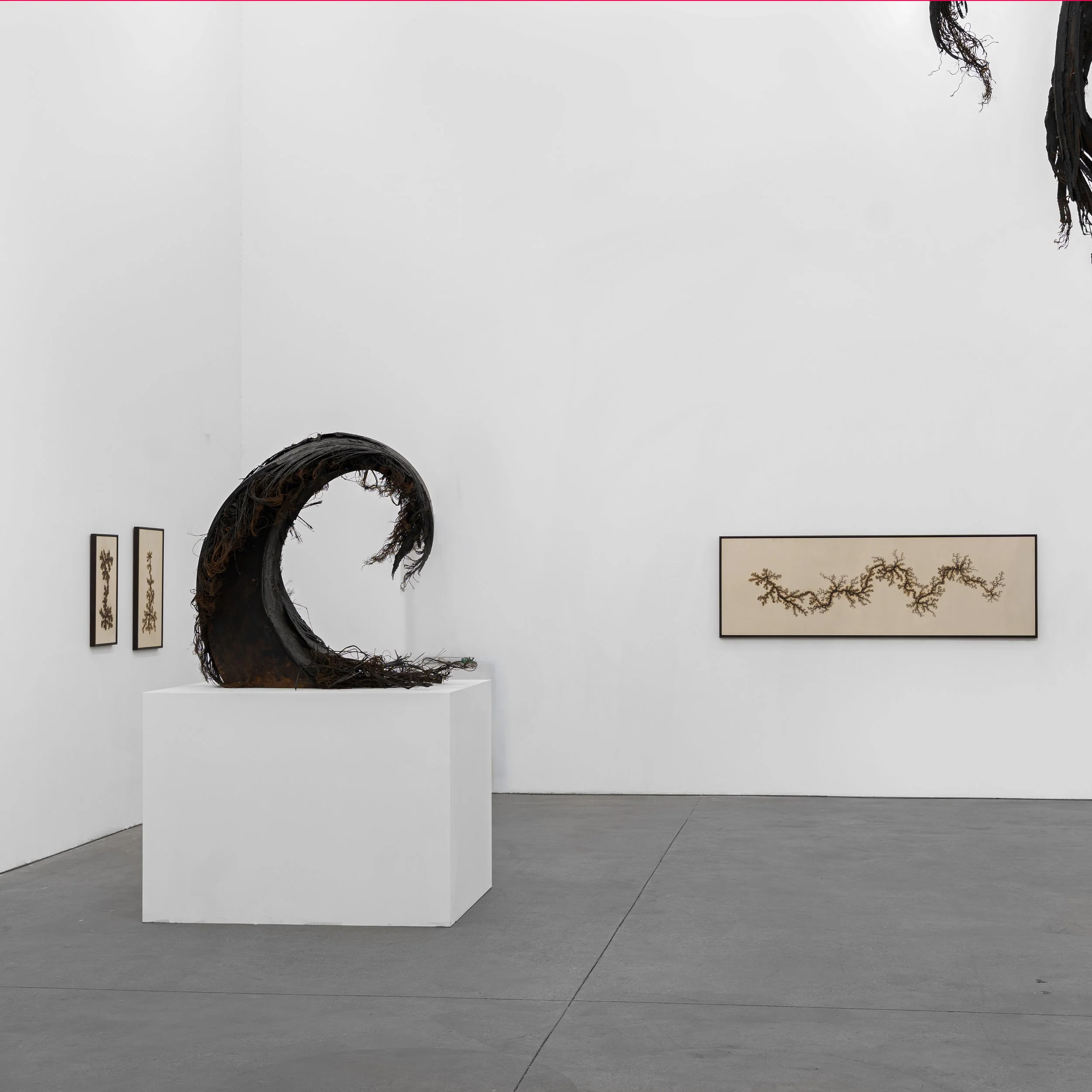 DSC03312 copy 2(1x1).jpg