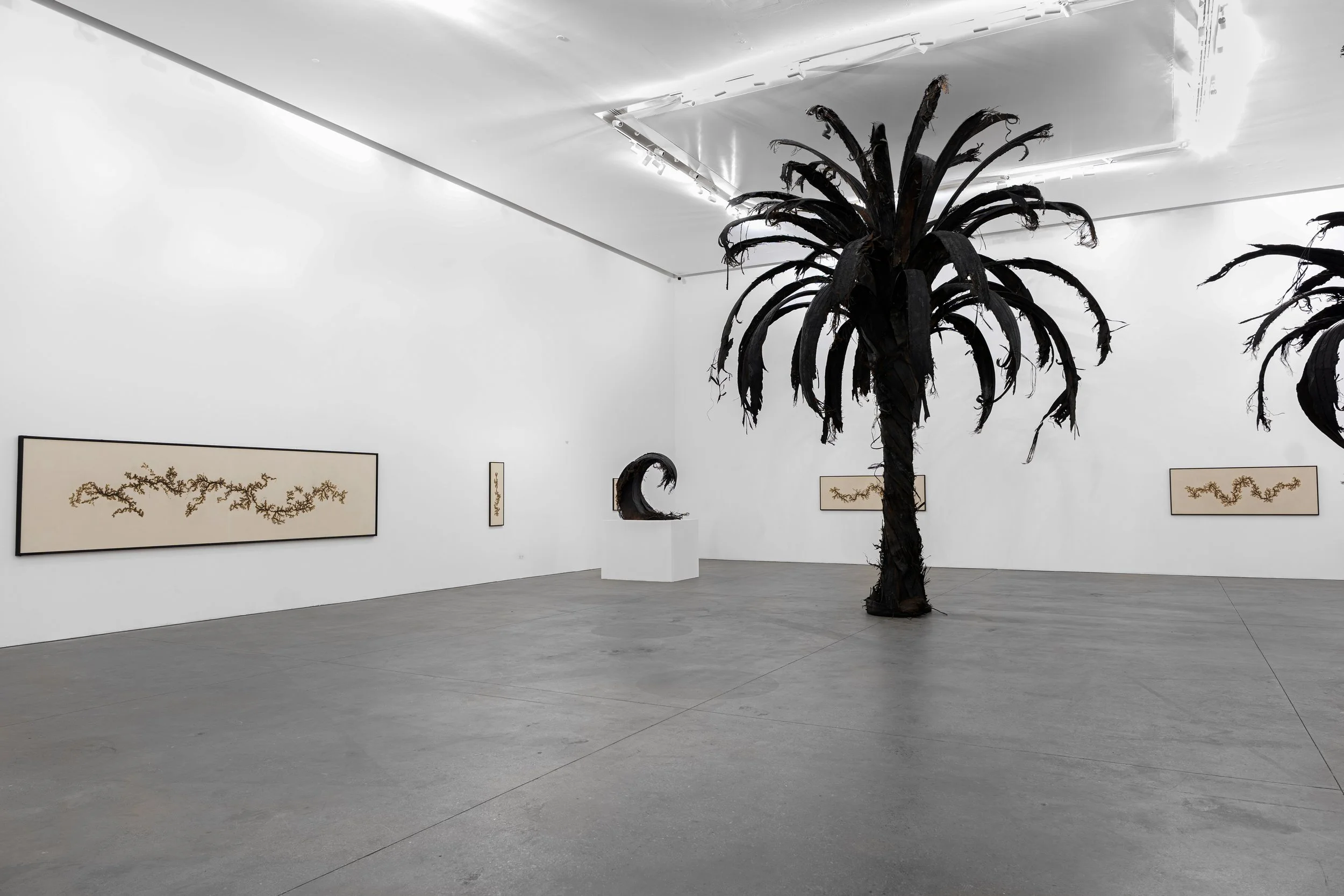 2_DSC03297 copy 2.jpg