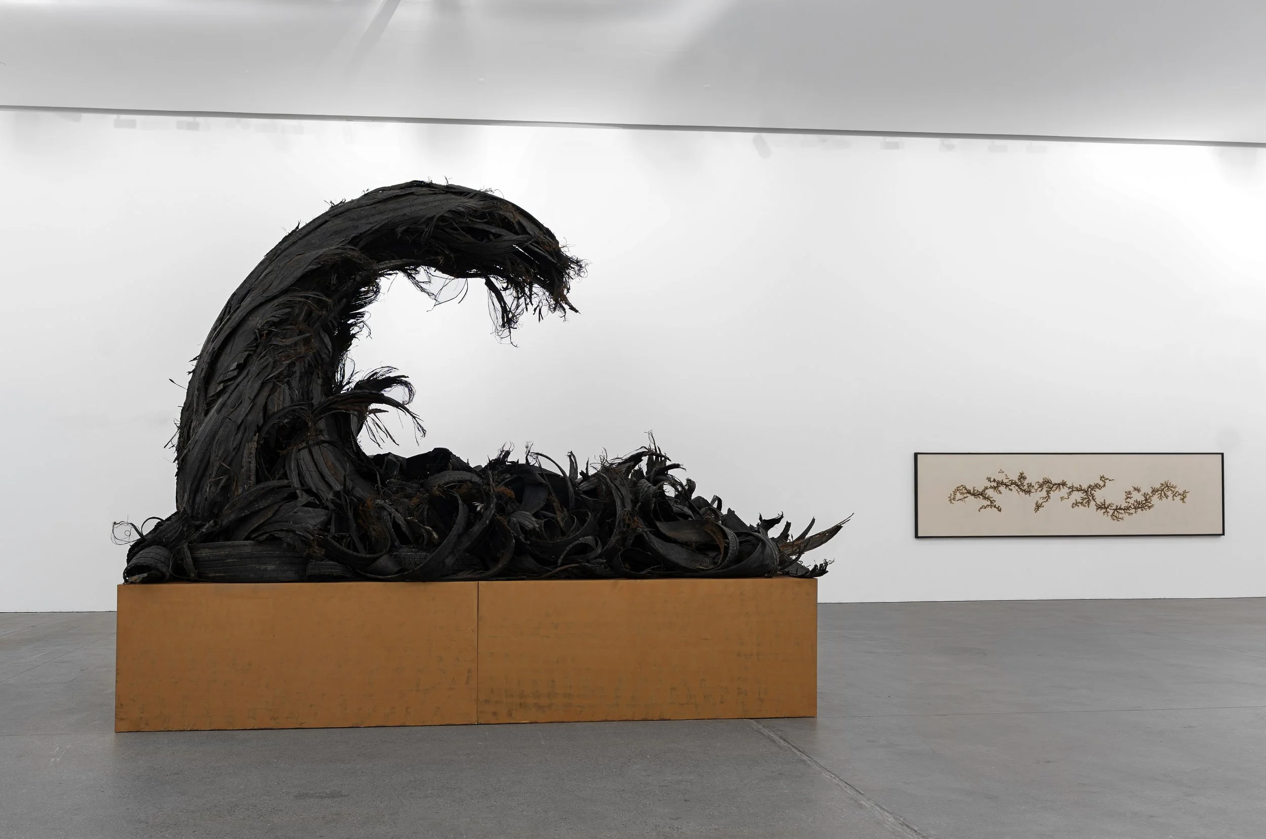 5_DSC03299 copy 2(edited).jpg