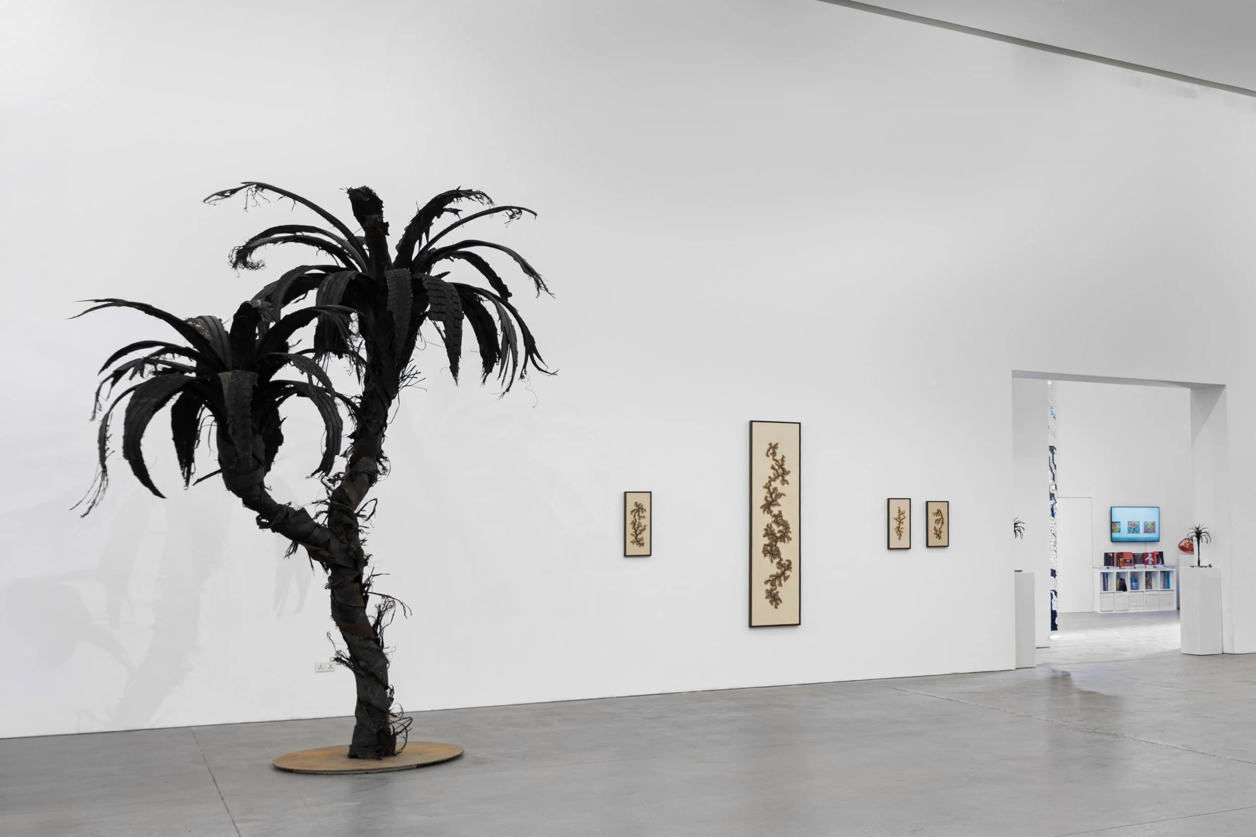 DSC03331 copy 2(expanded2).jpg