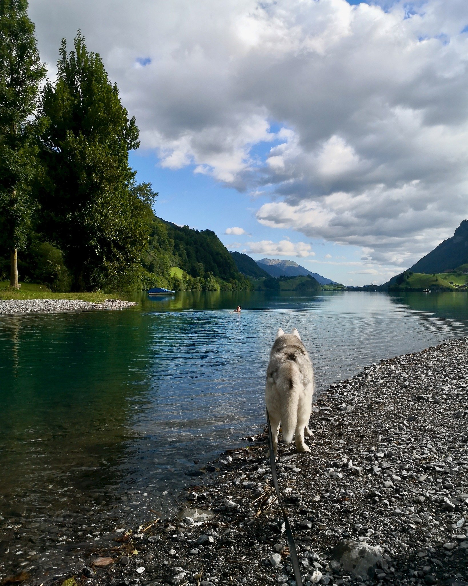 On a visit&eacute; pas mal de Lac, ont &agrave; &eacute;viter les grandes villes... Mais c'&eacute;tait un r&eacute;gal, comme d'hab, on a toujours appr&eacute;ci&eacute; la Suisse pour son univers naturel, et un nombre de rando' incalculable... Mais