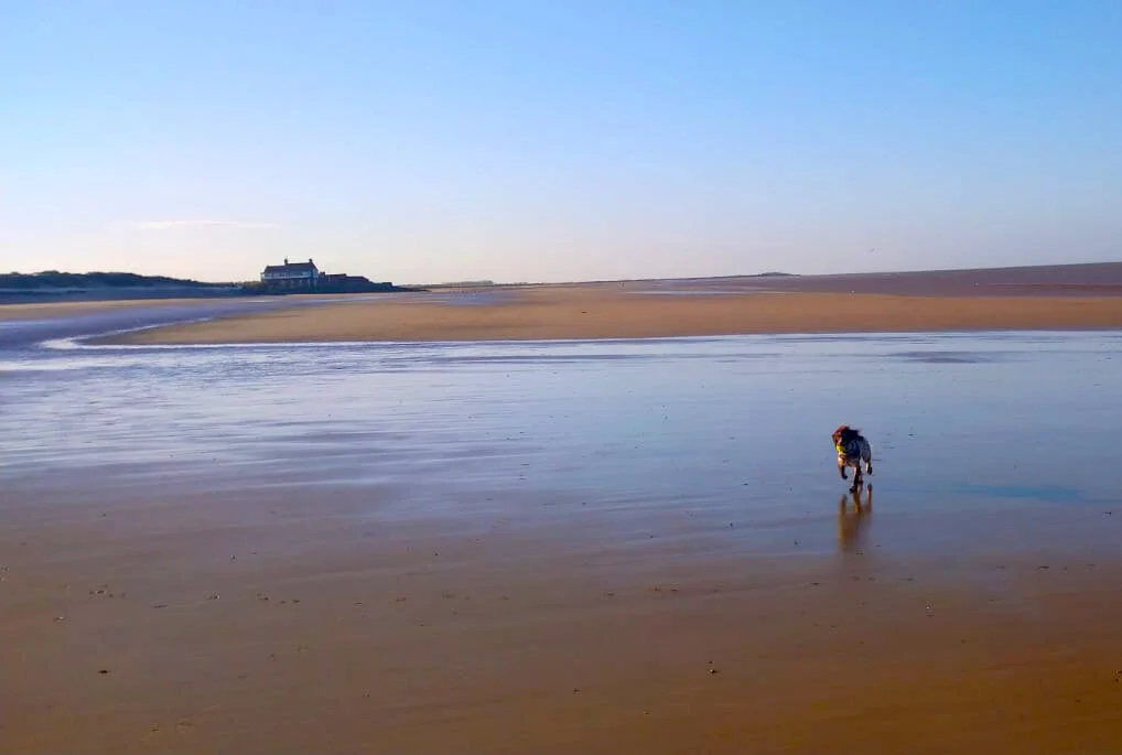 Brancaster Beach2 ©PM.jpg
