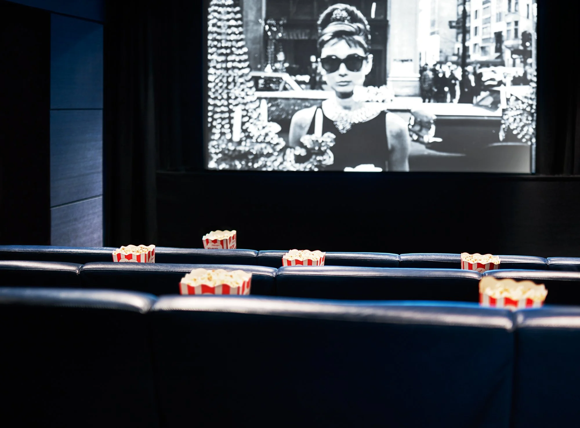 OA_MPD_Screening Room_Tiffany.jpg