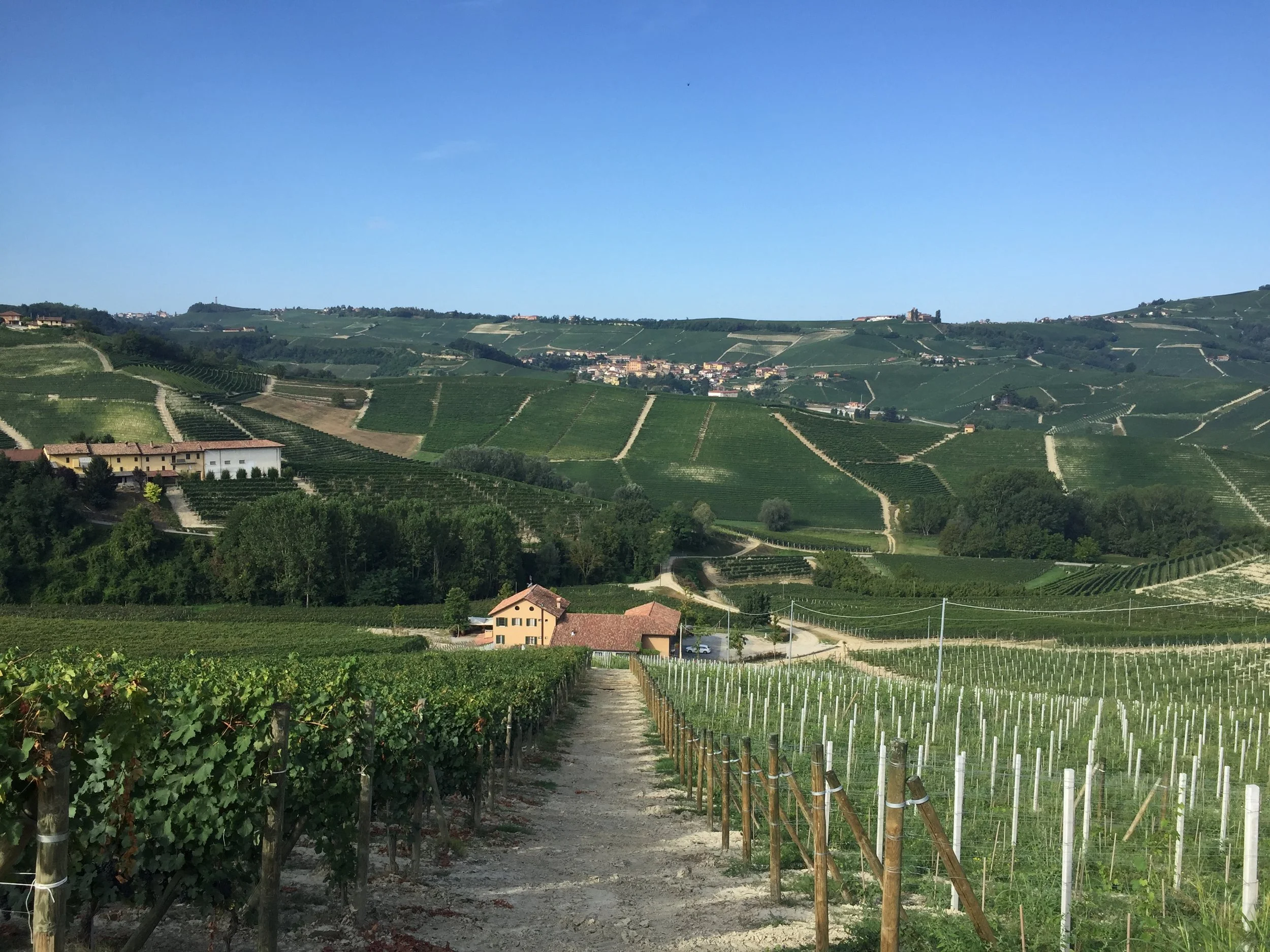 Livia Fontana, winery.JPG