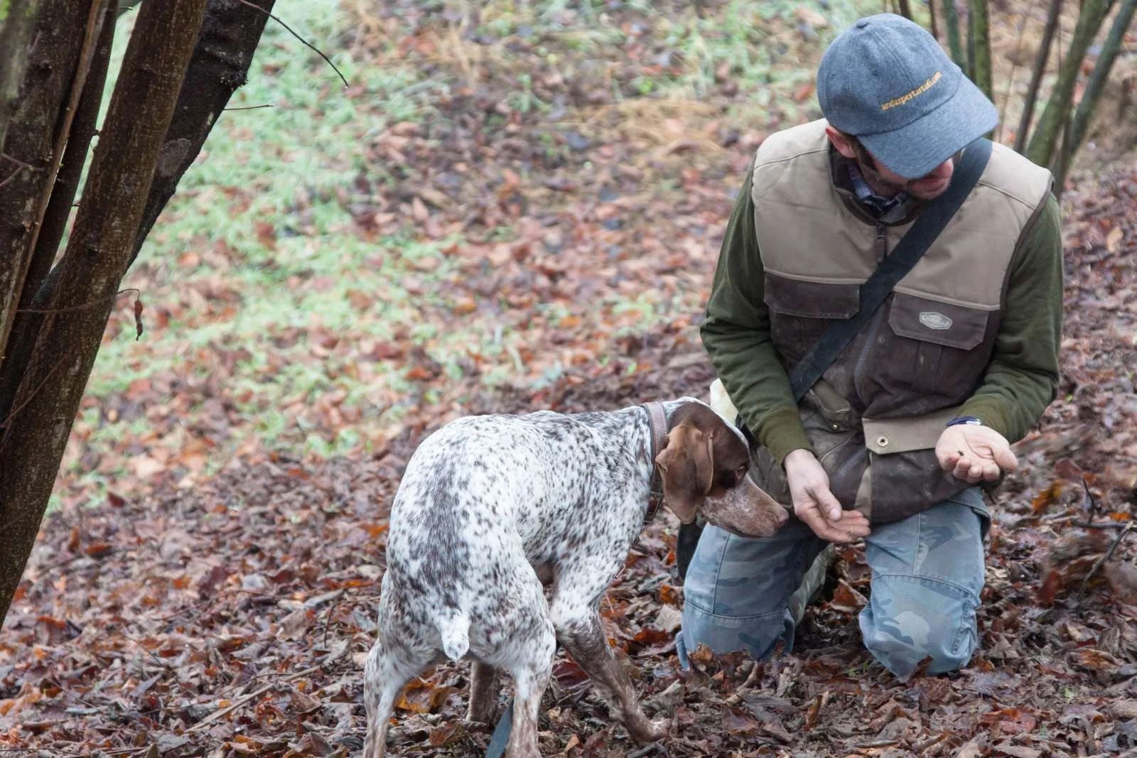 truffle hunt at Josettasaffirio.jpg