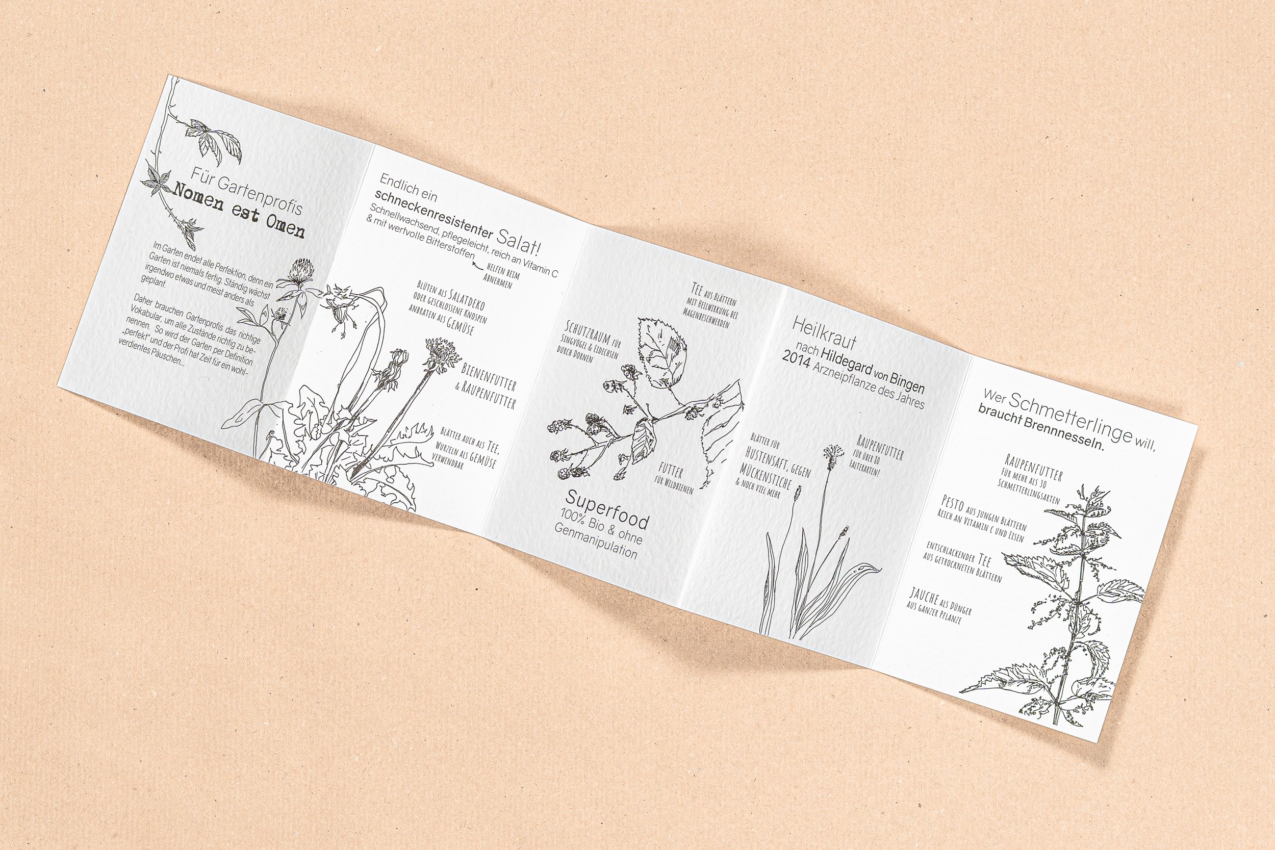 0008-25-02MS 251105 070-sqrspc.jpg