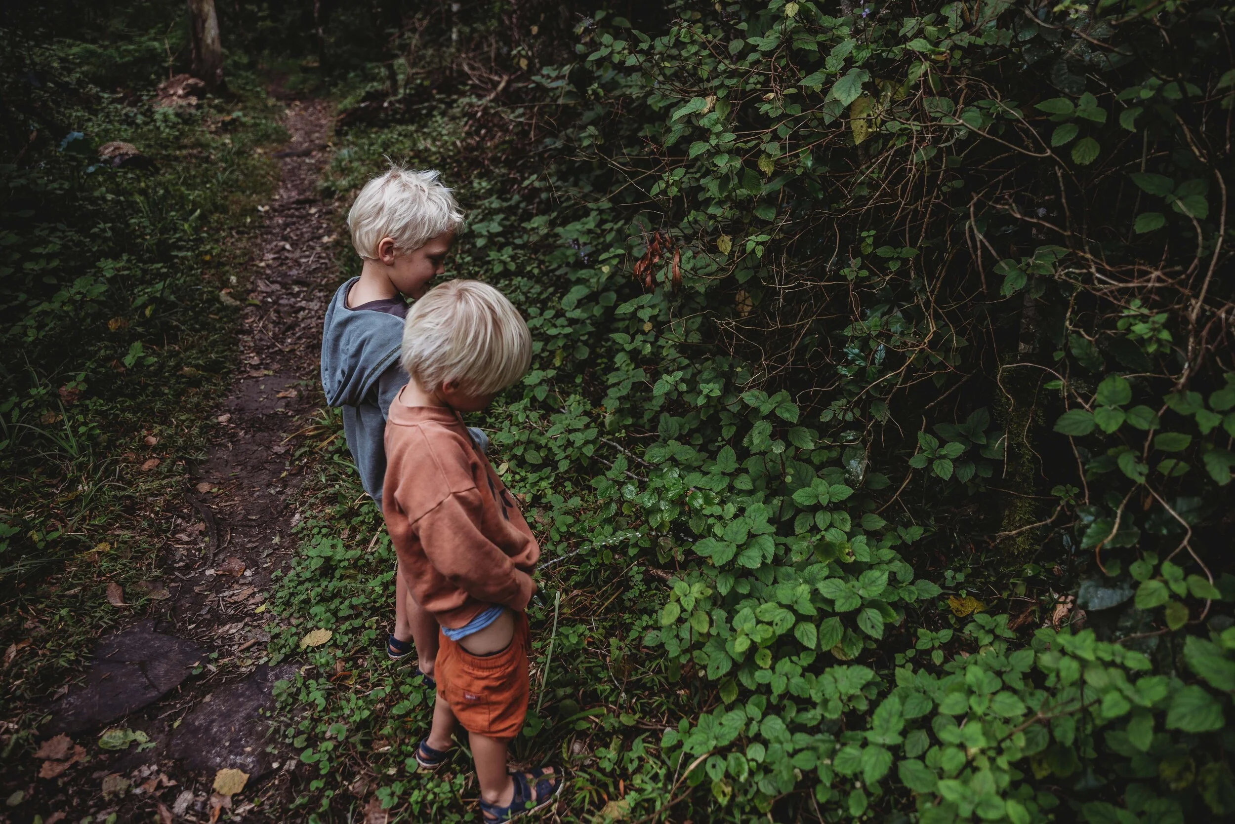 boig tree (3 of 4).jpg