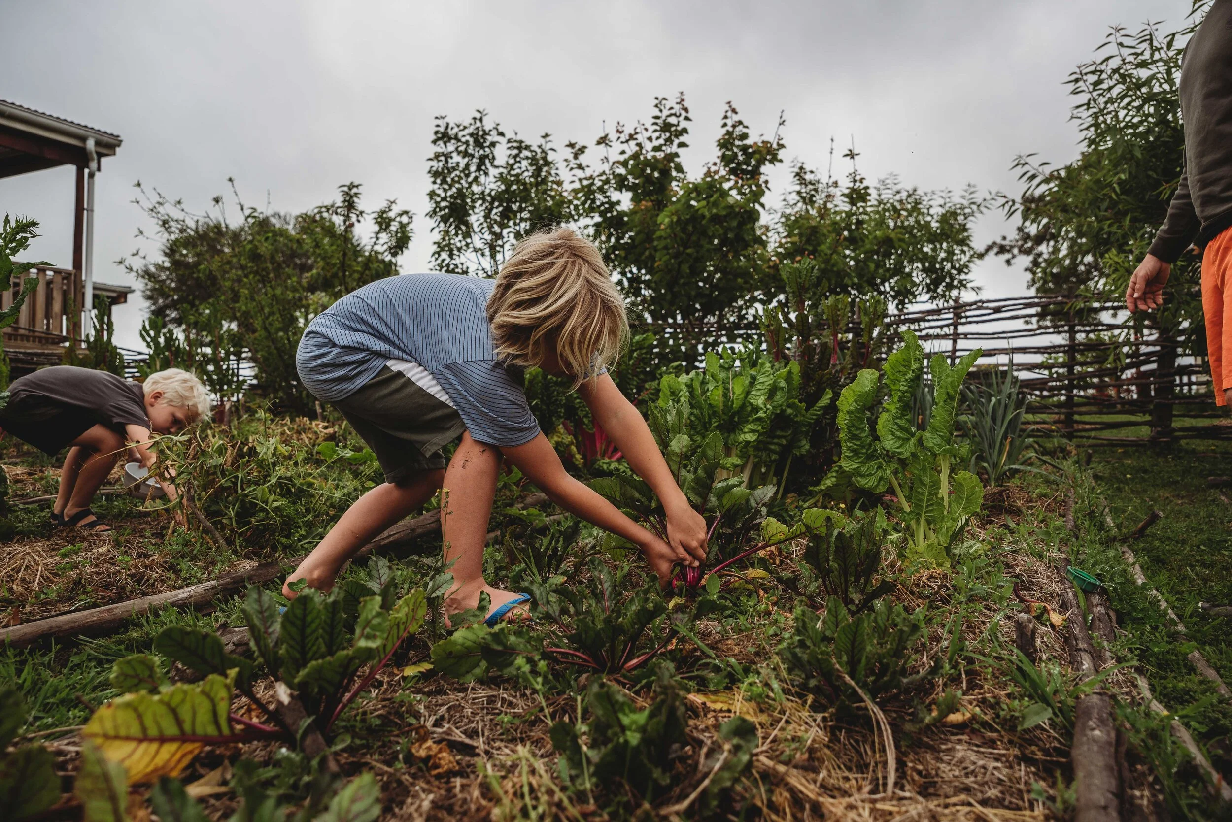 Week 43 (1 of 5).jpg