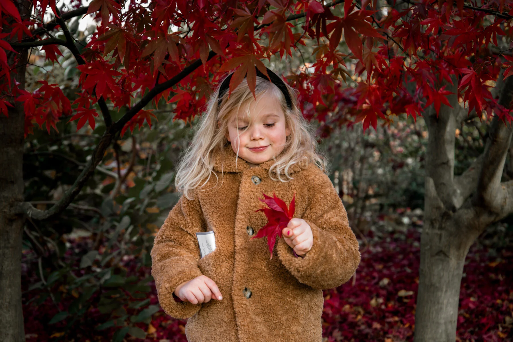 W&T week 46 - Jeannine Mosman - 1.jpg