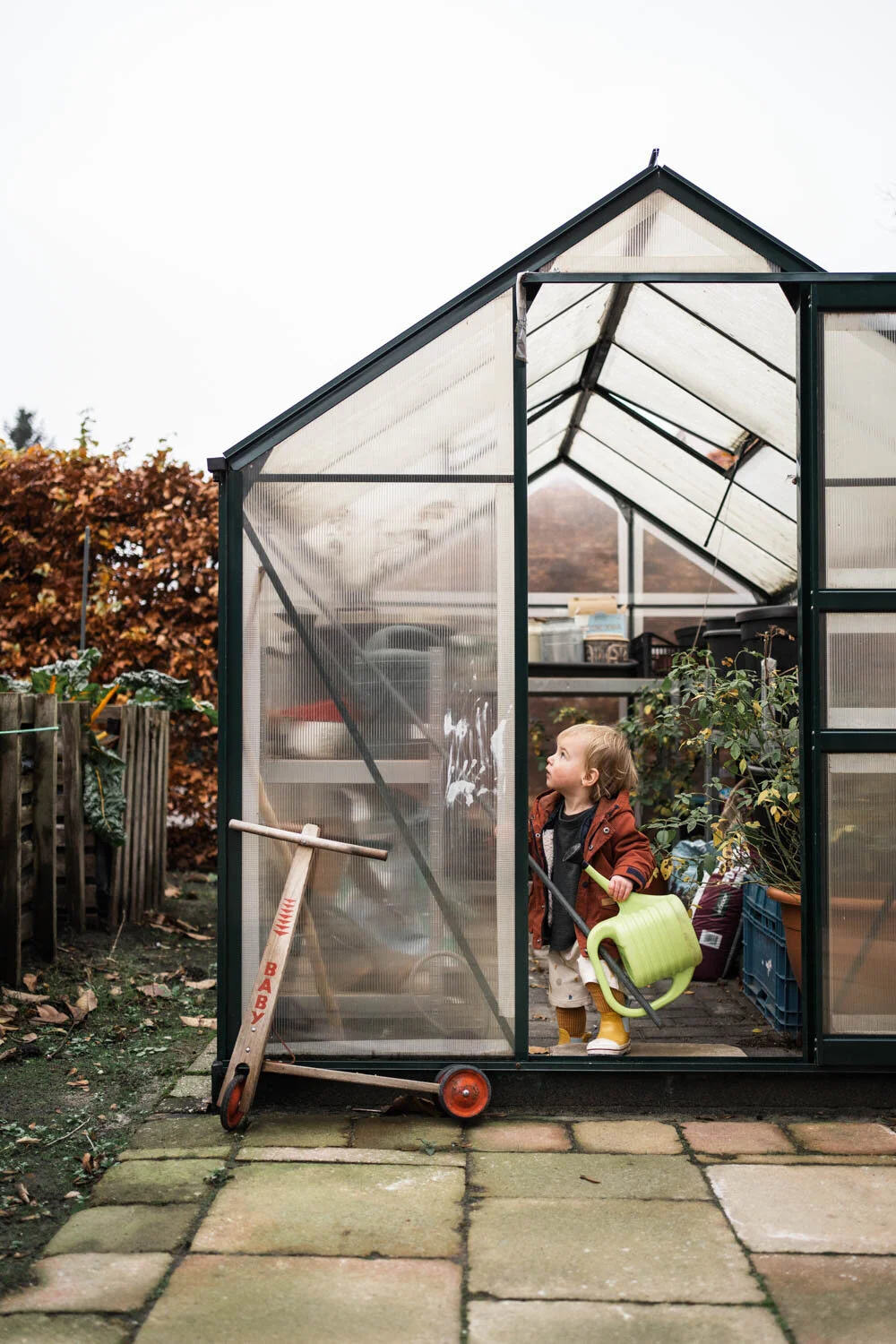 WildflowersWeek49Merette (9 van 9).jpg