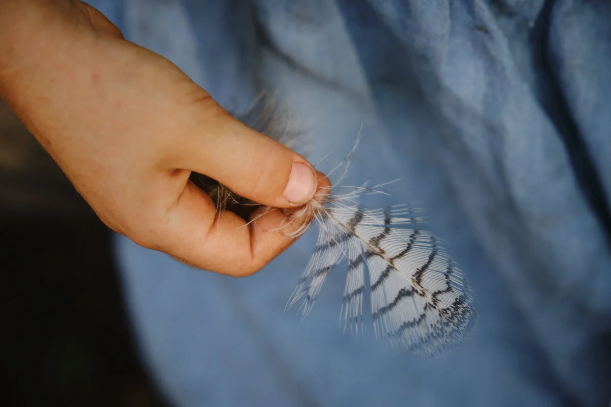 Anneke Jagau week 47 3.jpg