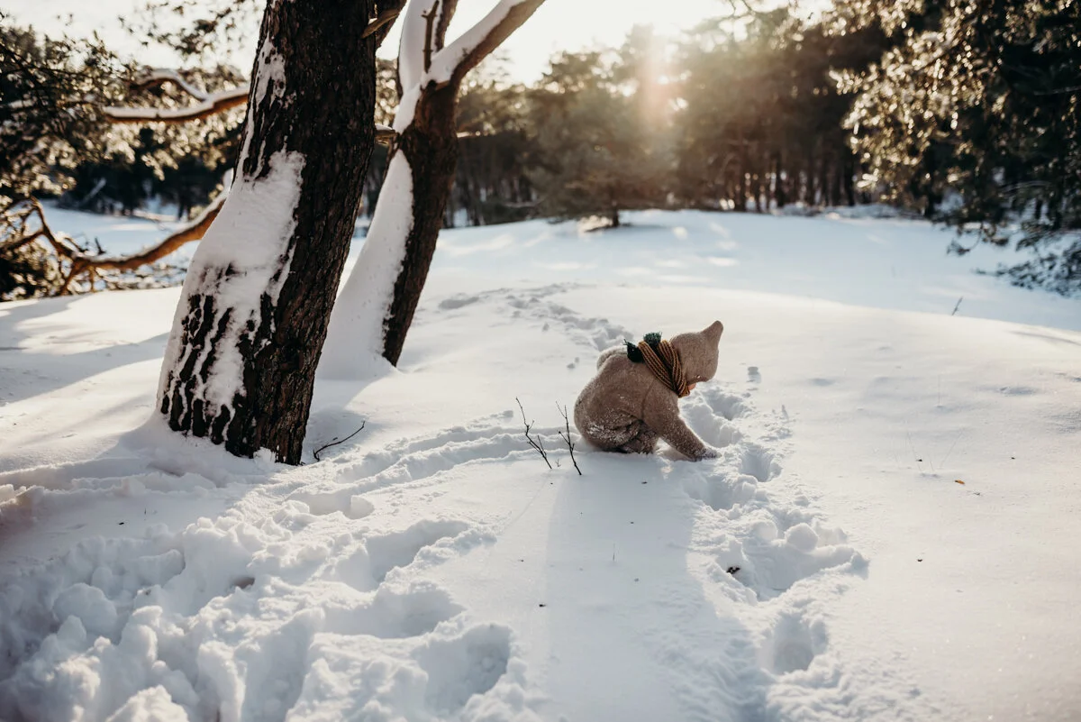 Wildflowers Willemine week 6 (2 van 1).jpg