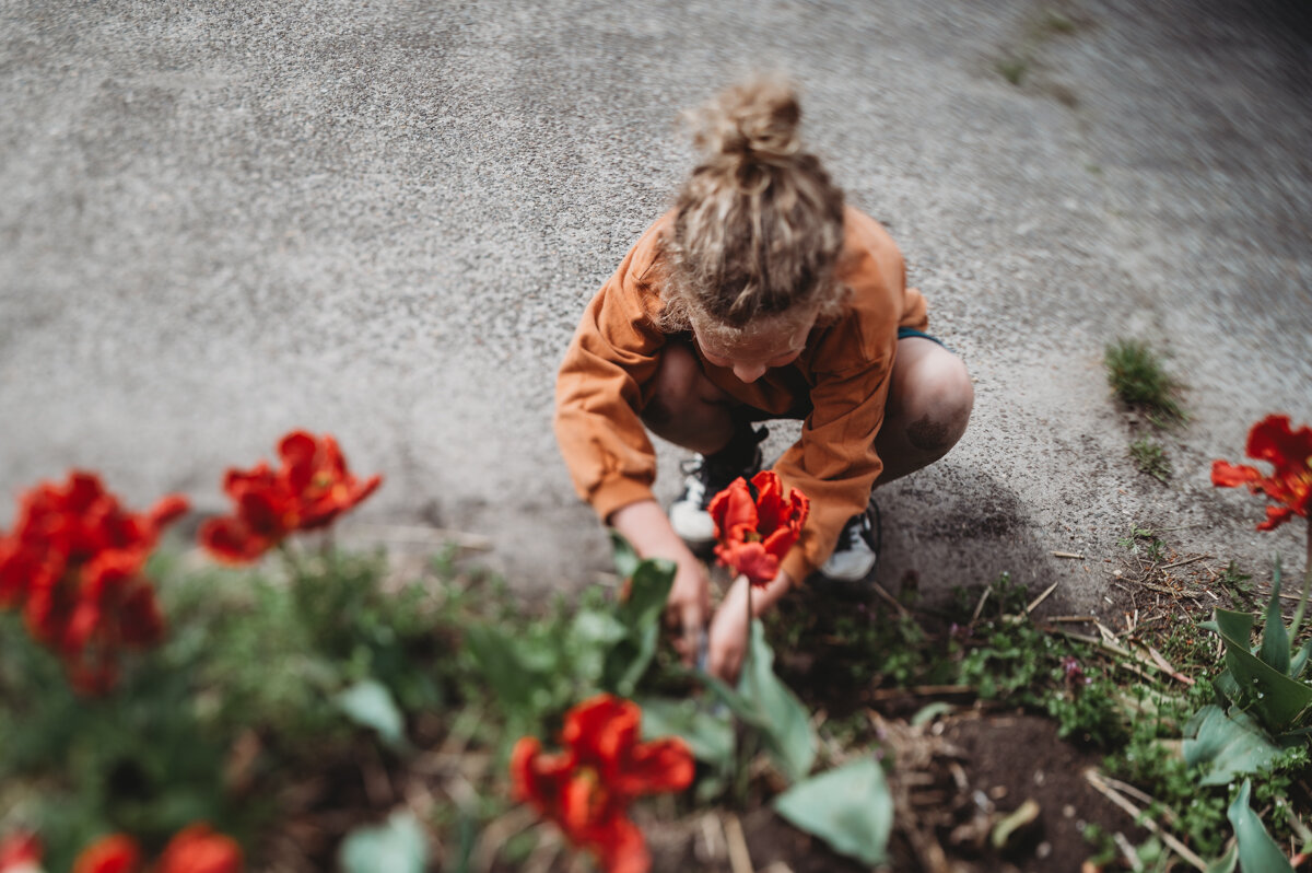 week 20 - Rosalie-18.JPG