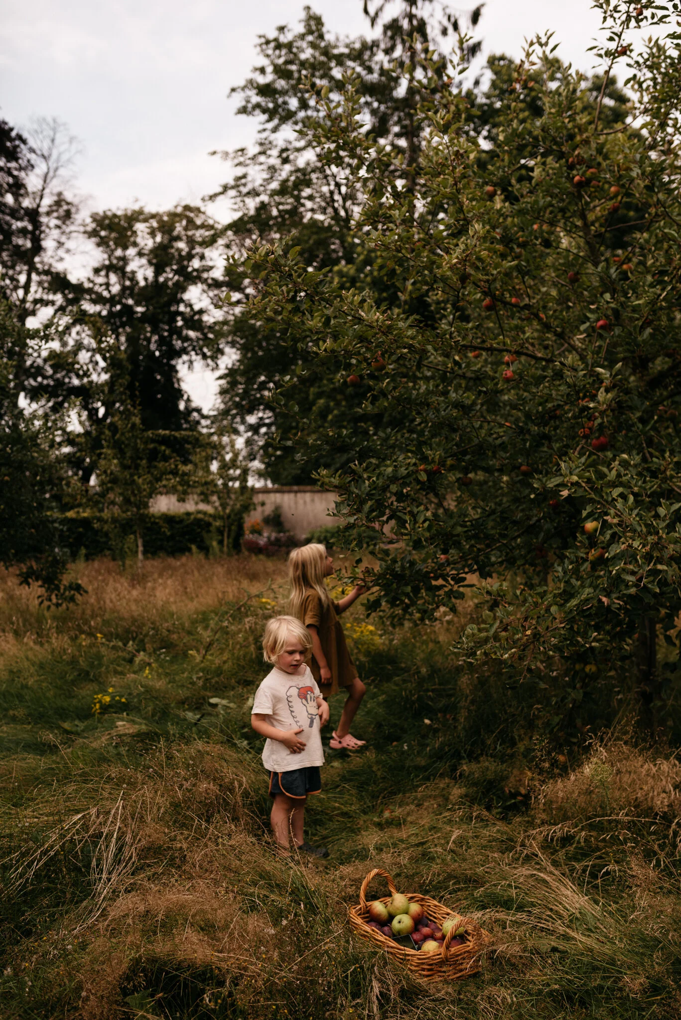 Week 33 - Madeleine Bolle Photography-7.jpg