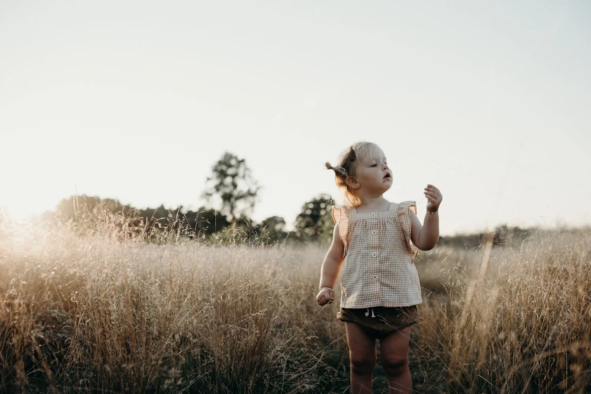 Wildflowers week 35 Willemine (1 van 1)-10.jpg