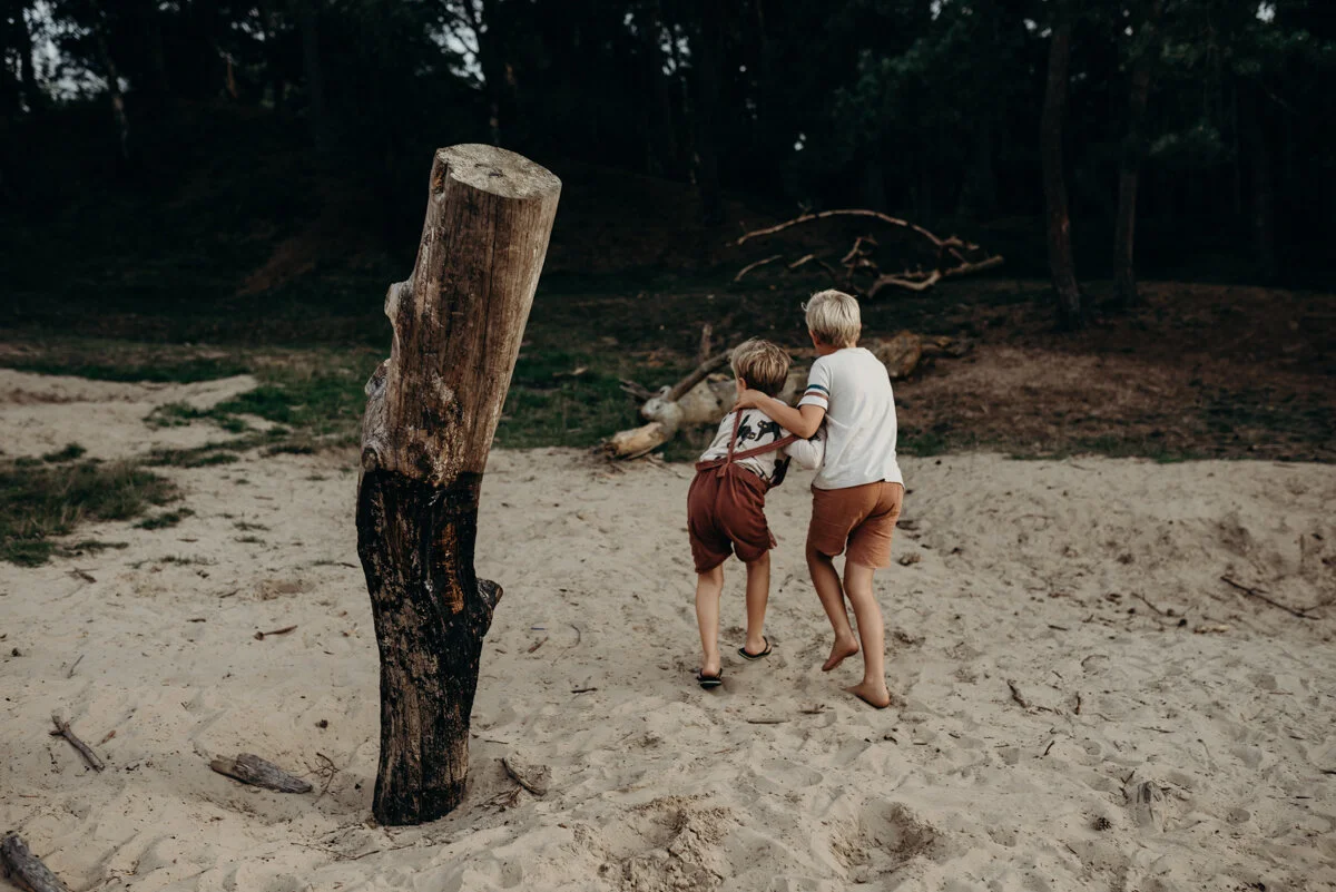 Wildflowers Willemine-1.jpg