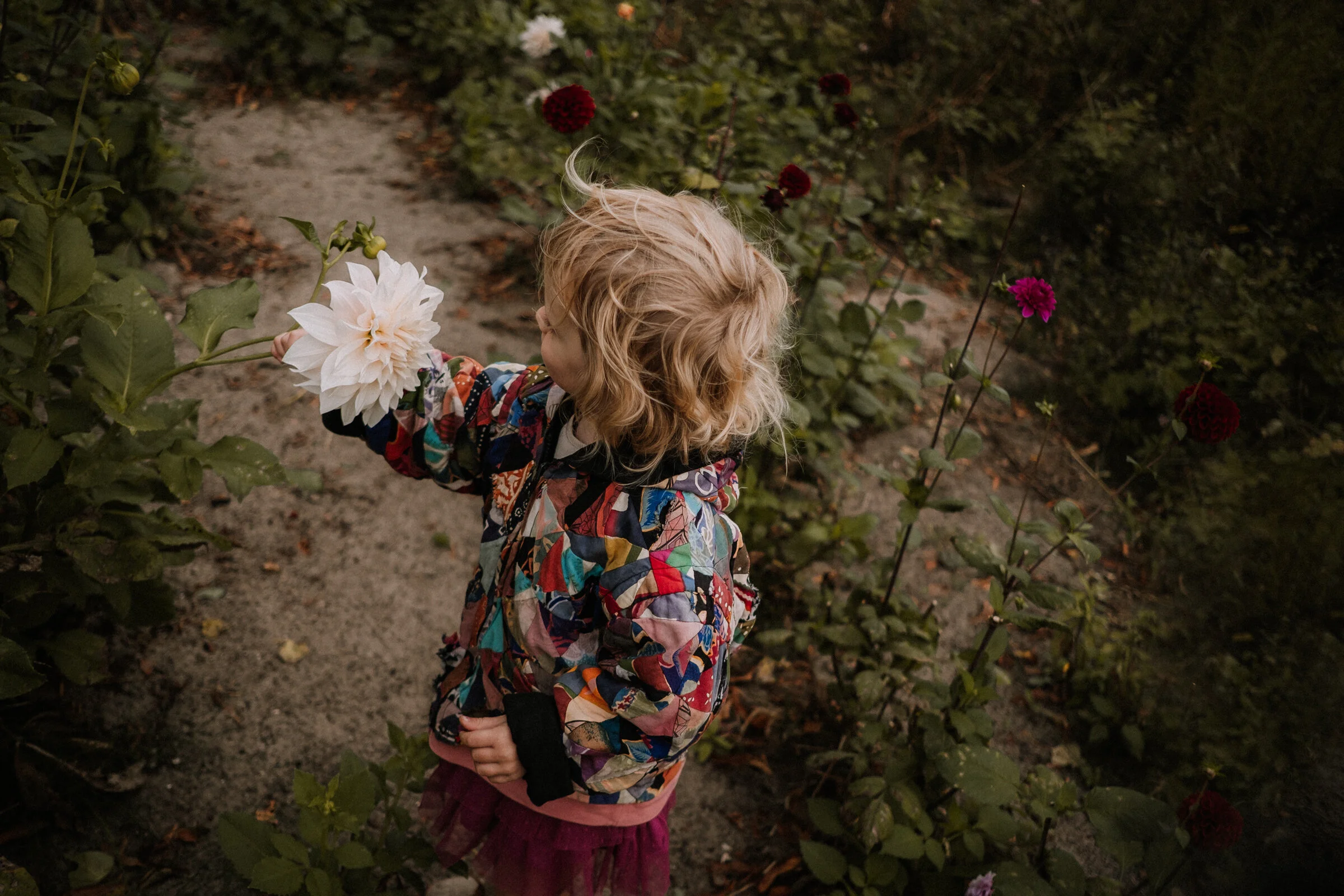 week 40- Nina Olivari fotografie-12.jpg