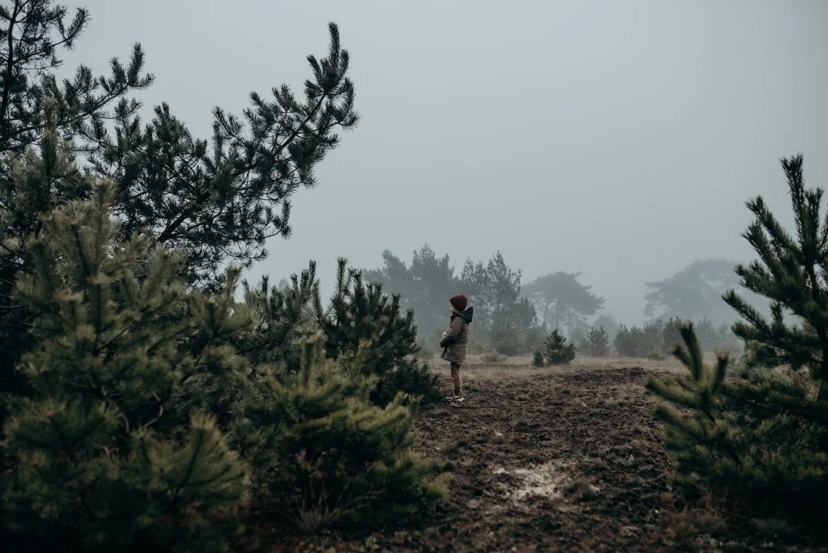 Wildflowers Willemine (1 van 1)-4.jpg