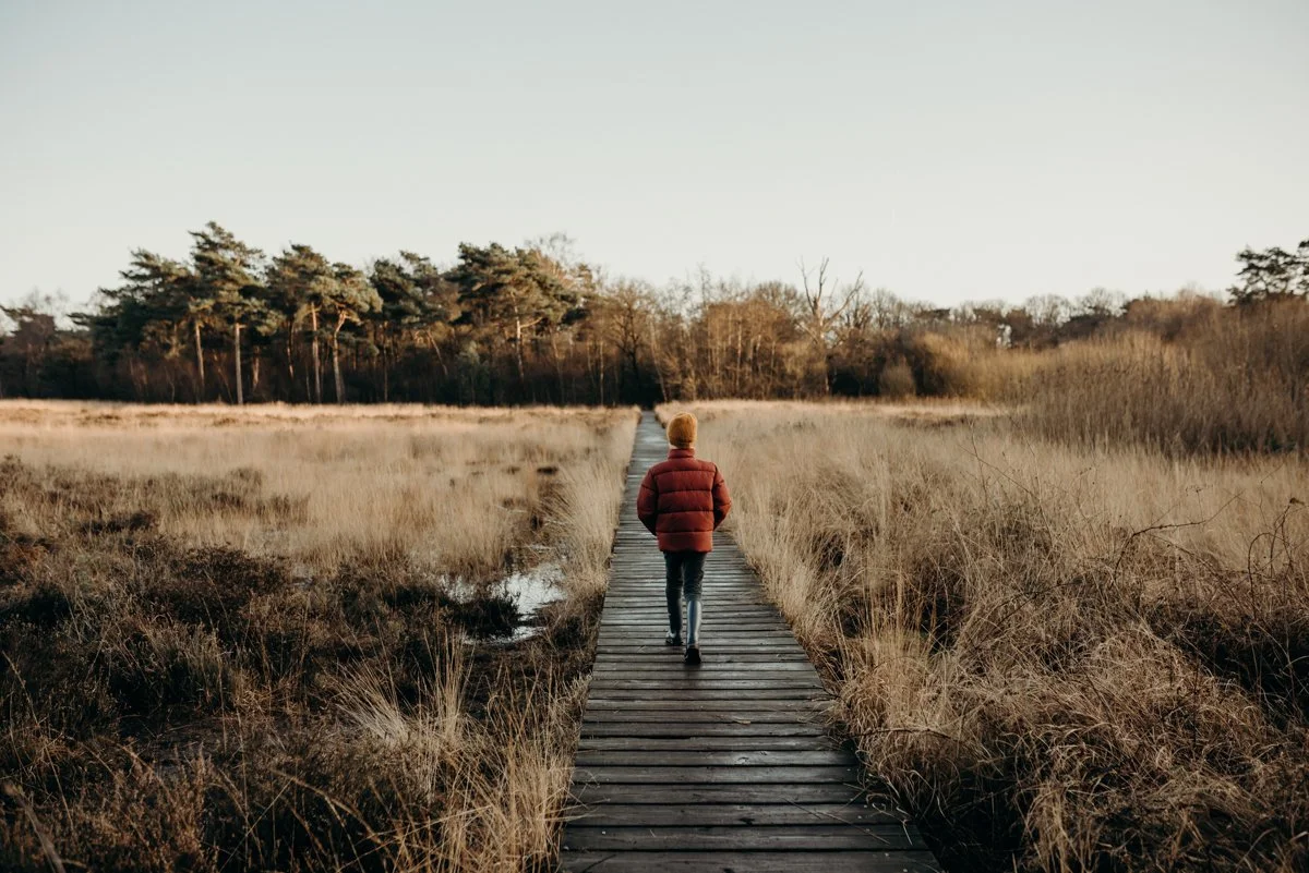 Wildflowers Willemine Week 4 (1 van 1)-3.jpg