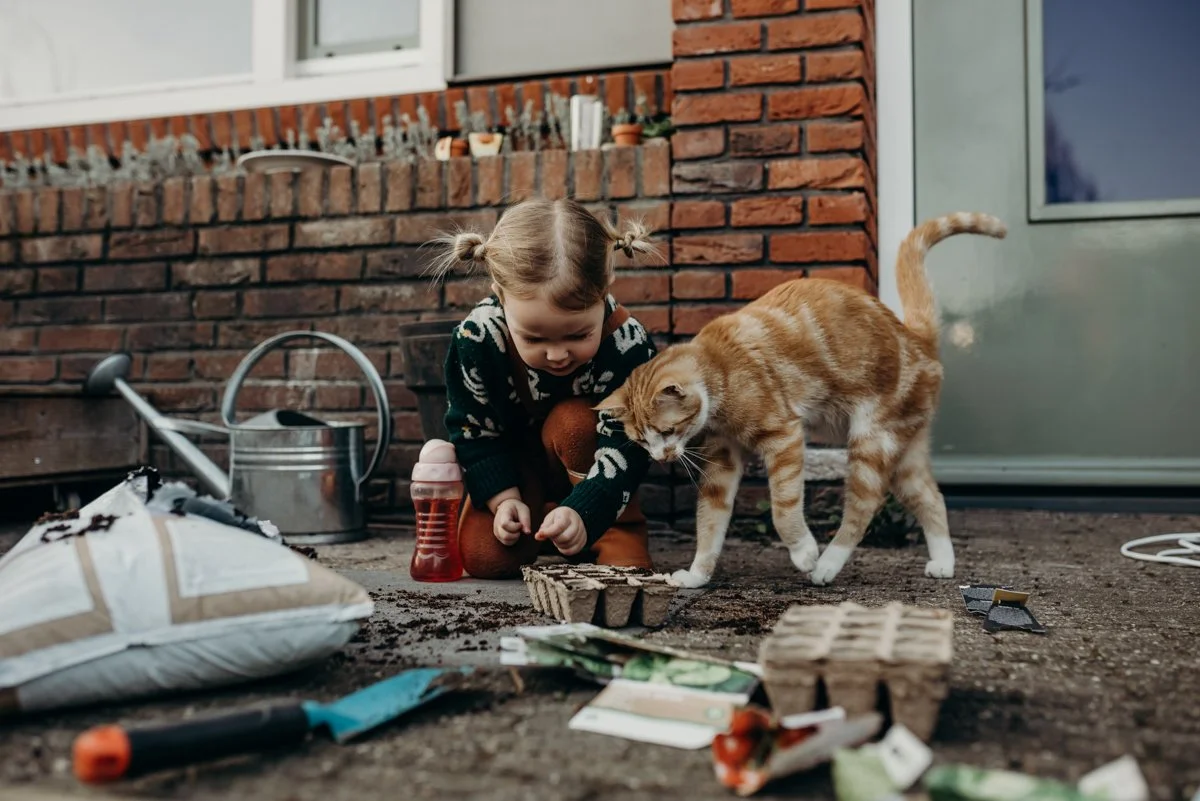 Wild flowers week 10-1.jpg