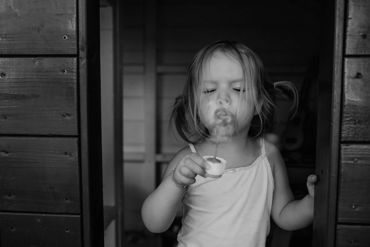 Wildflowers Willemine-1-4.jpg