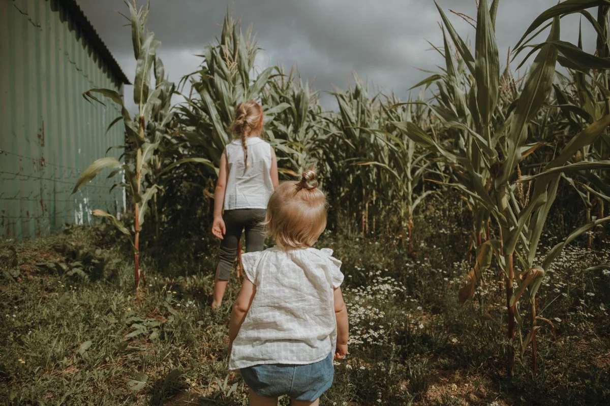 Week 31 - Jeannine Mosman - 7.jpg