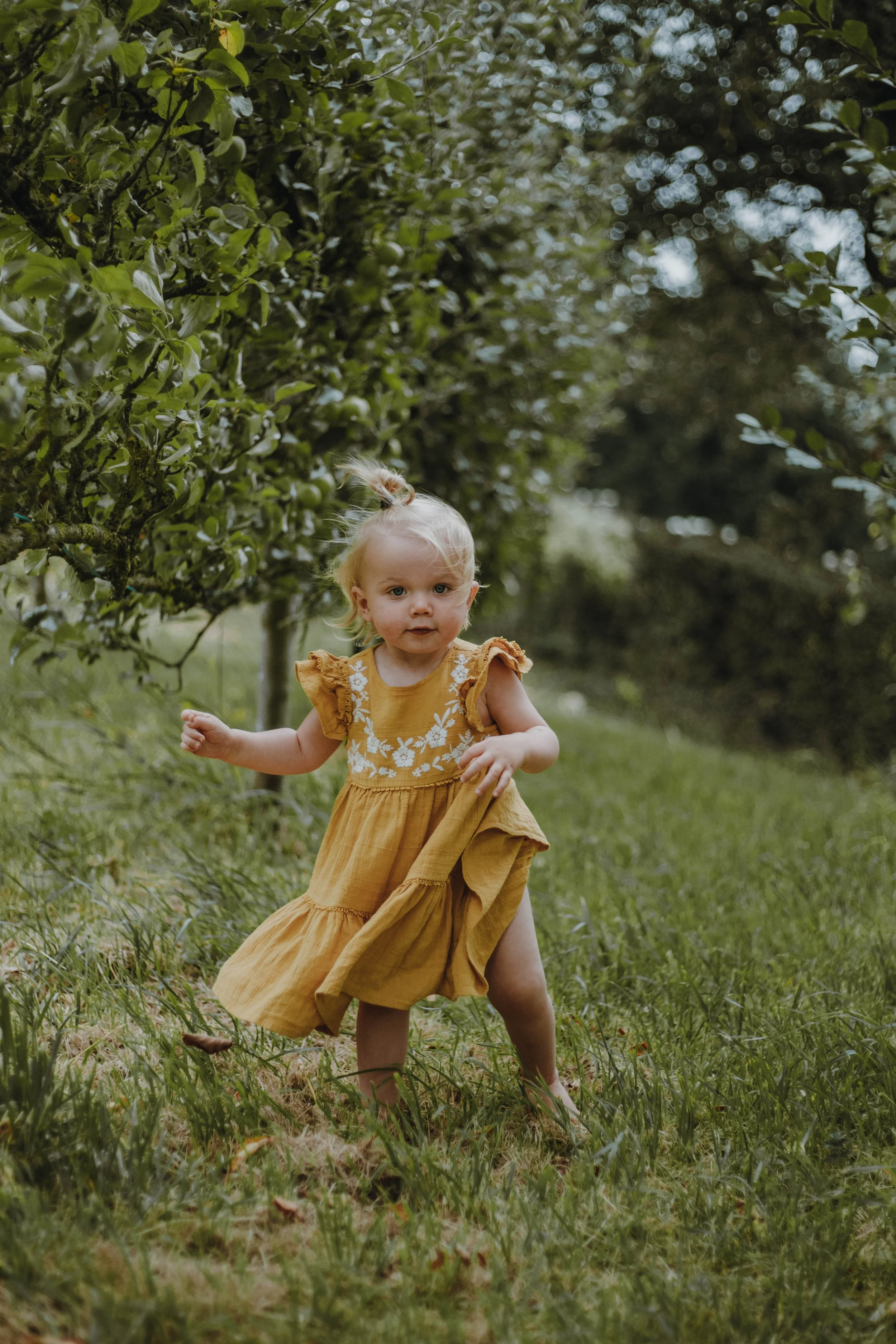 Week 34 - Jeannine Mosman 3.jpeg