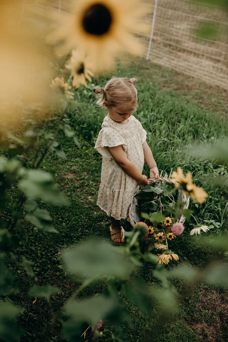 Wildflowers Willemine-1.jpeg