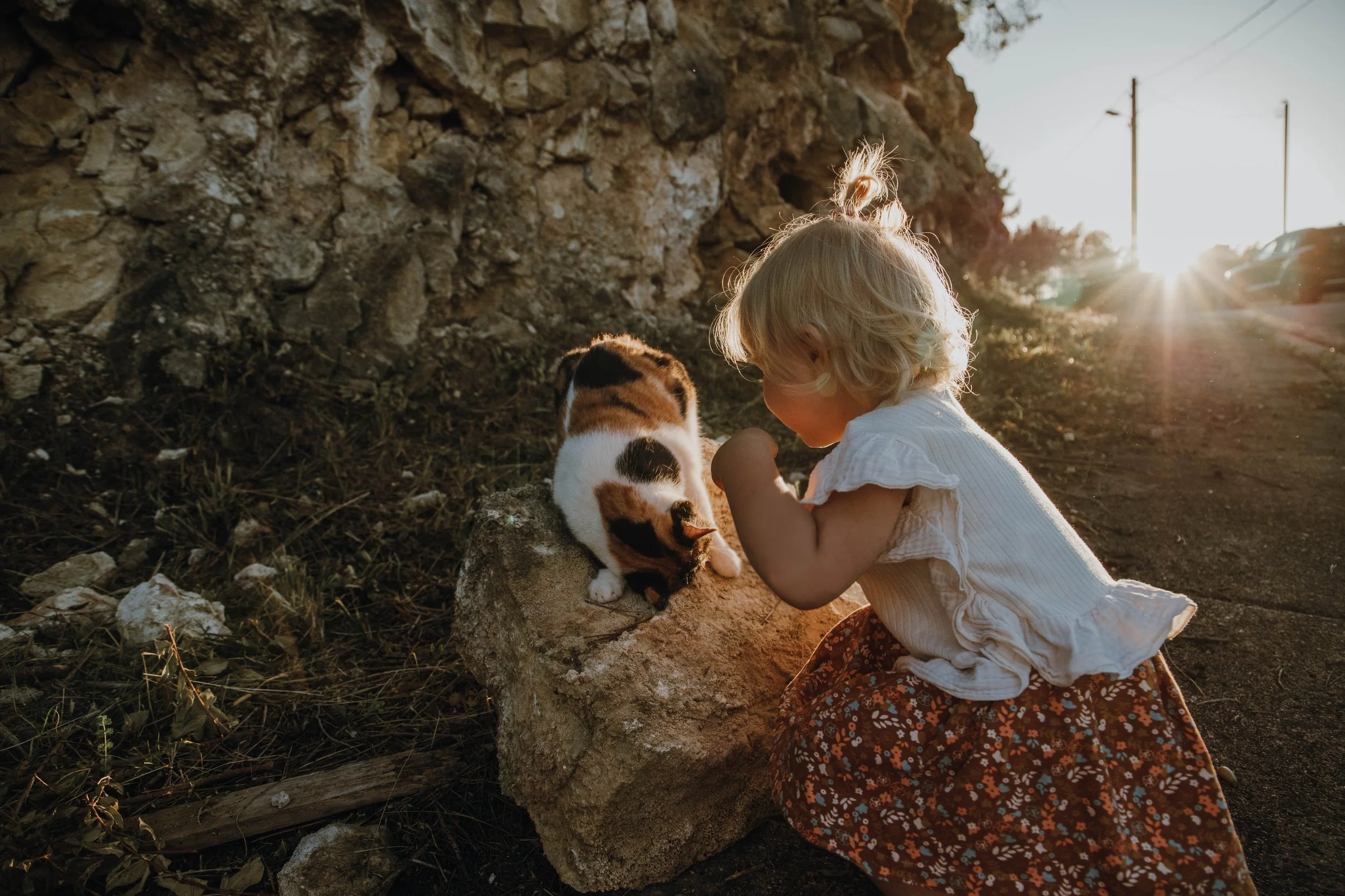 Week 40 (golden hour) - Jeannine Mosman - 10.jpg