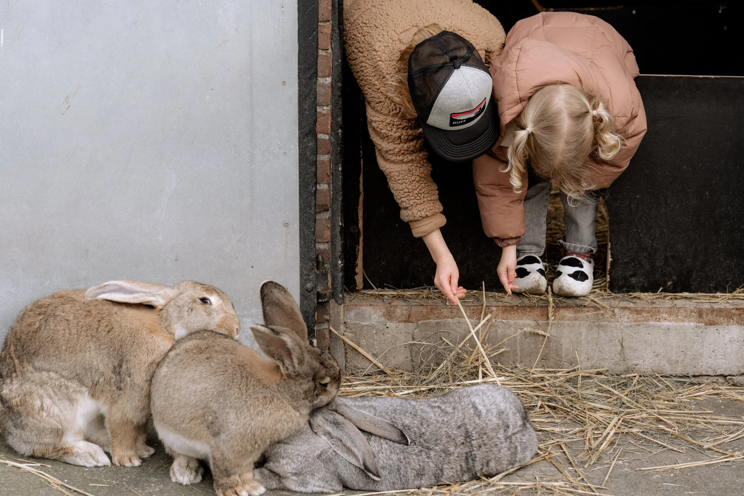 Miek van Kraay Photography -04445.jpg