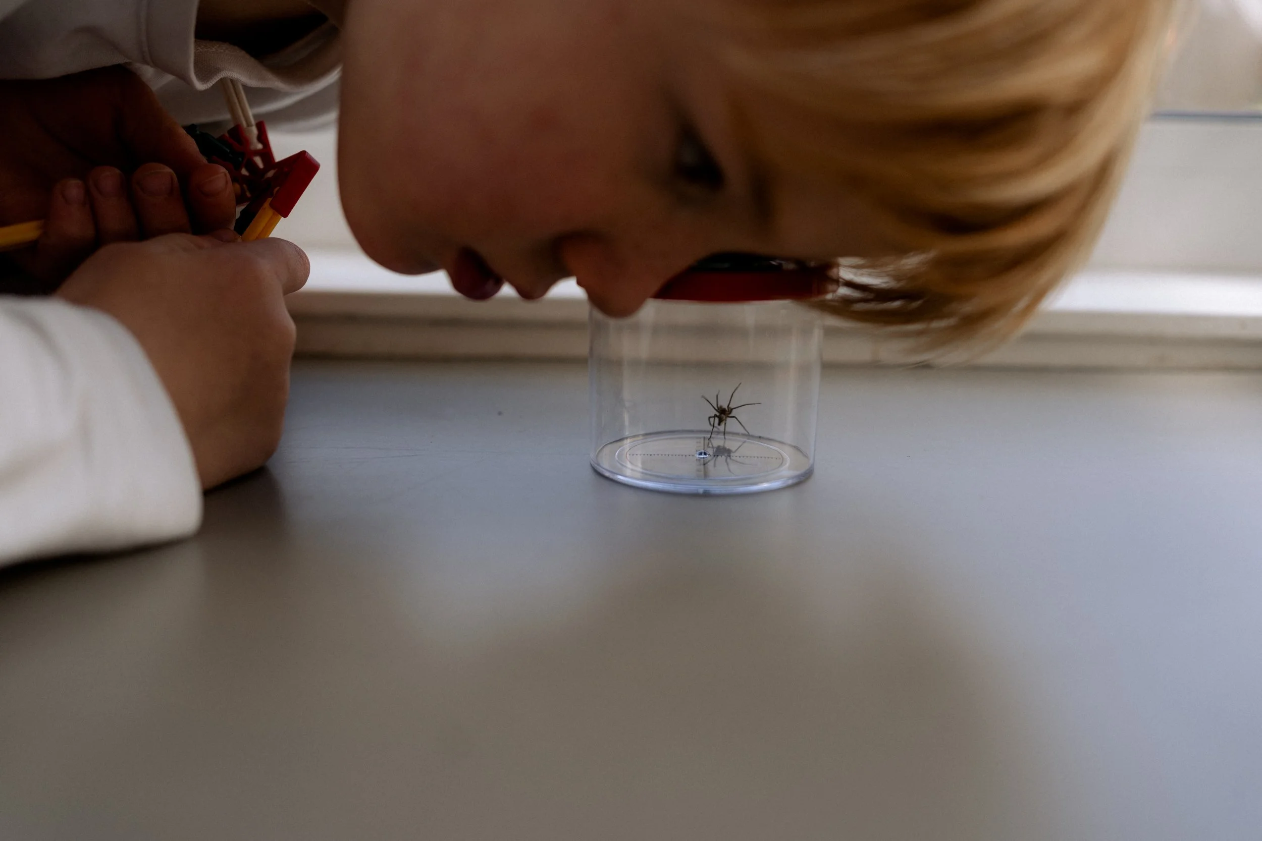 Miek van Kraay Photography -09222.jpg