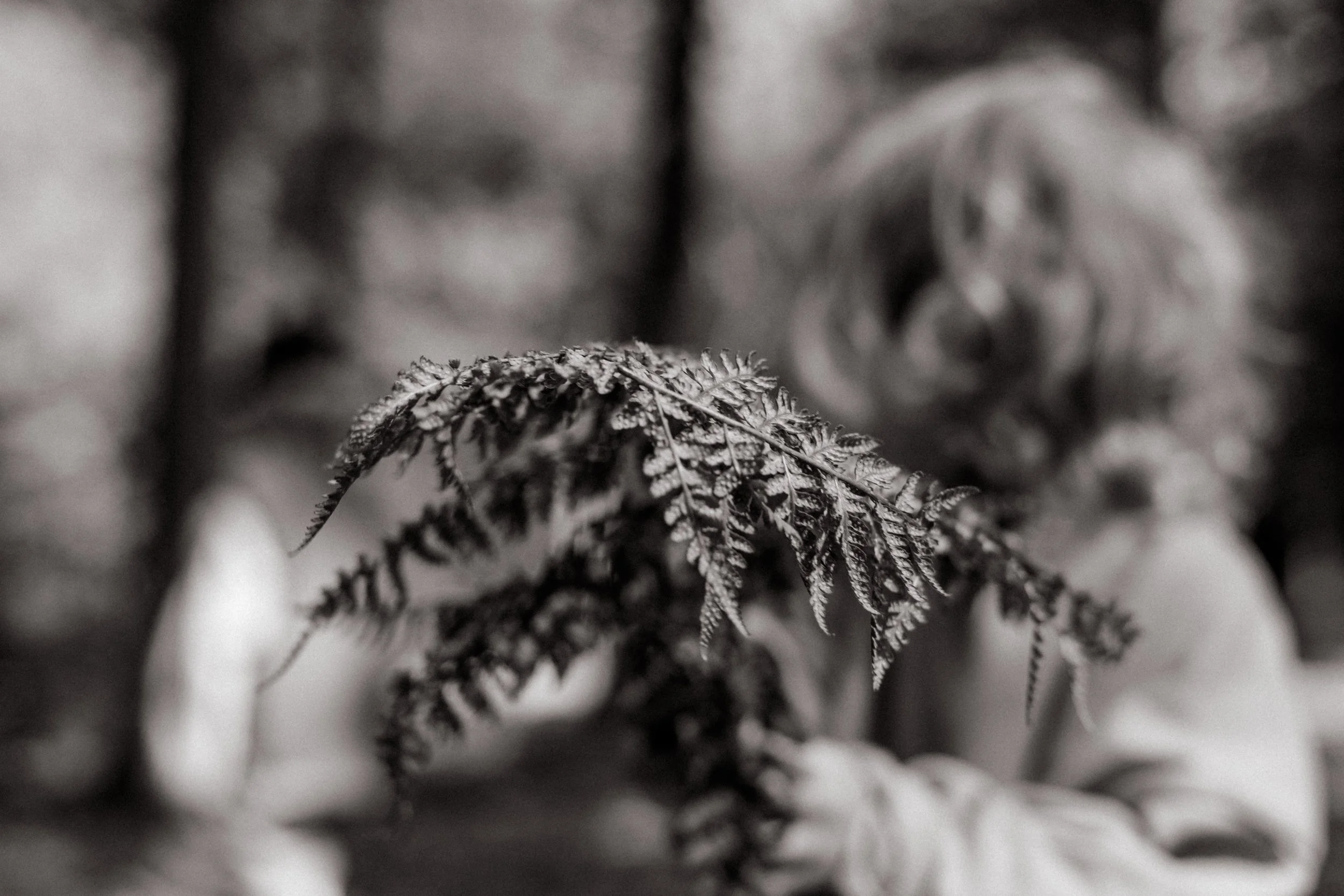 Miek van Kraay Photography -01406-2.jpg