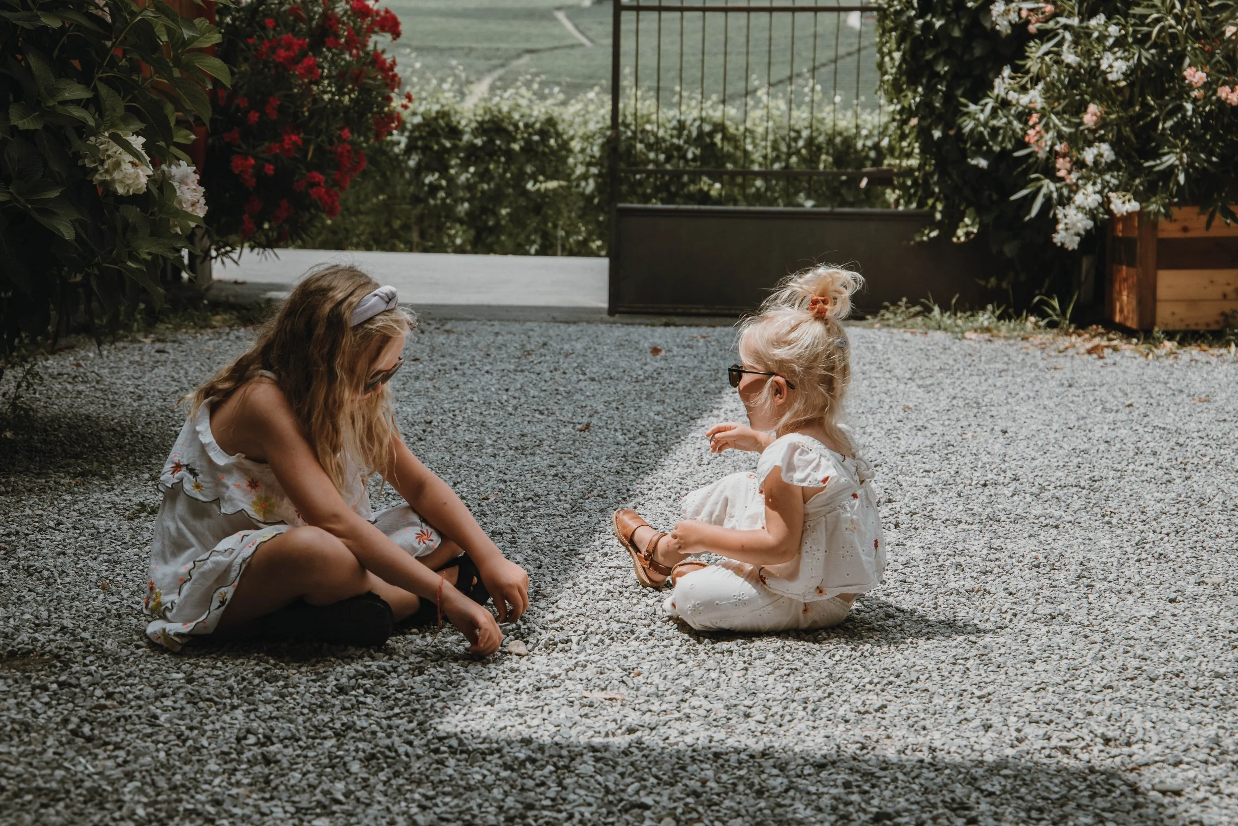 Week 28 - Jeannine Mosman - 1.jpg