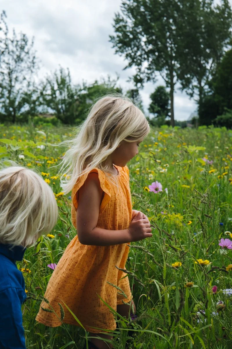 Wildflowers week 30 _ berdi-5.jpg