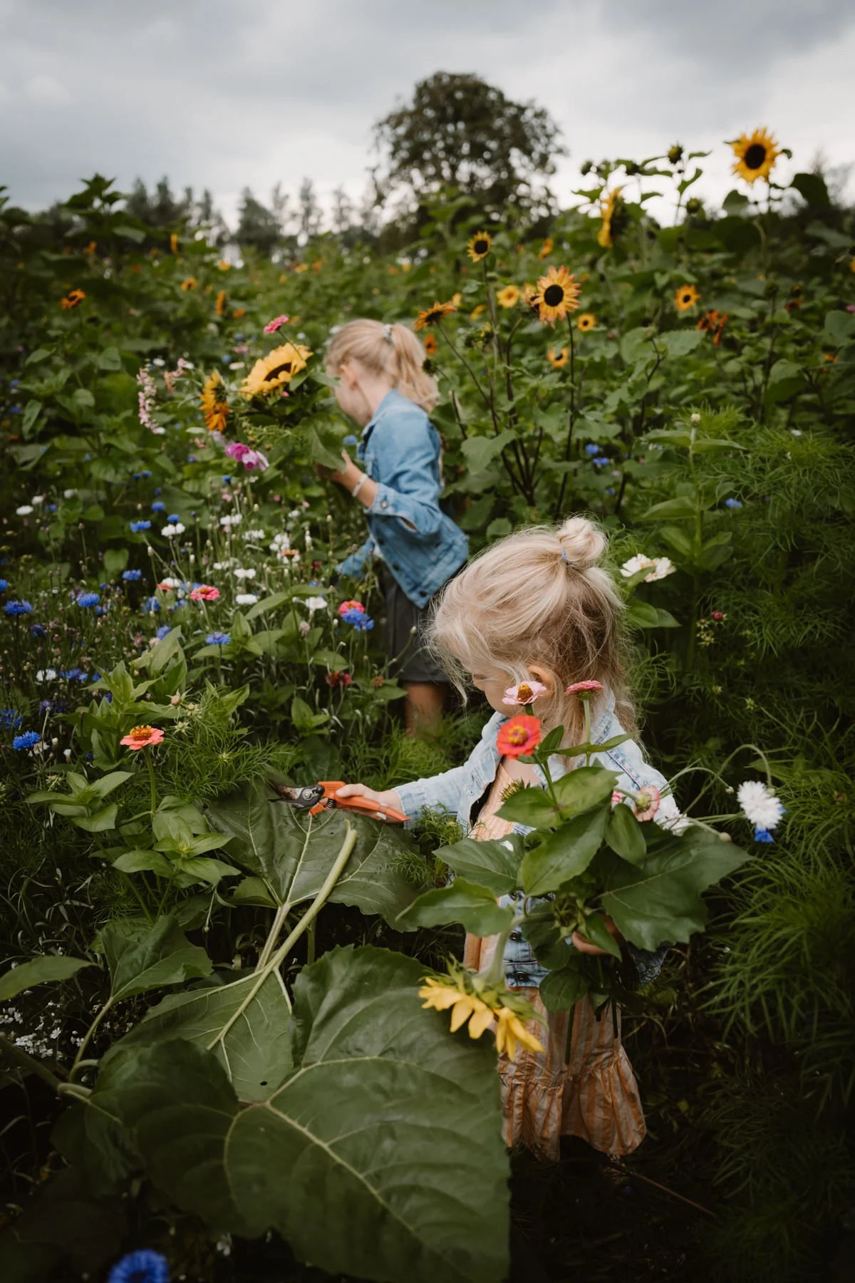 ingridbot.nl 013.jpg