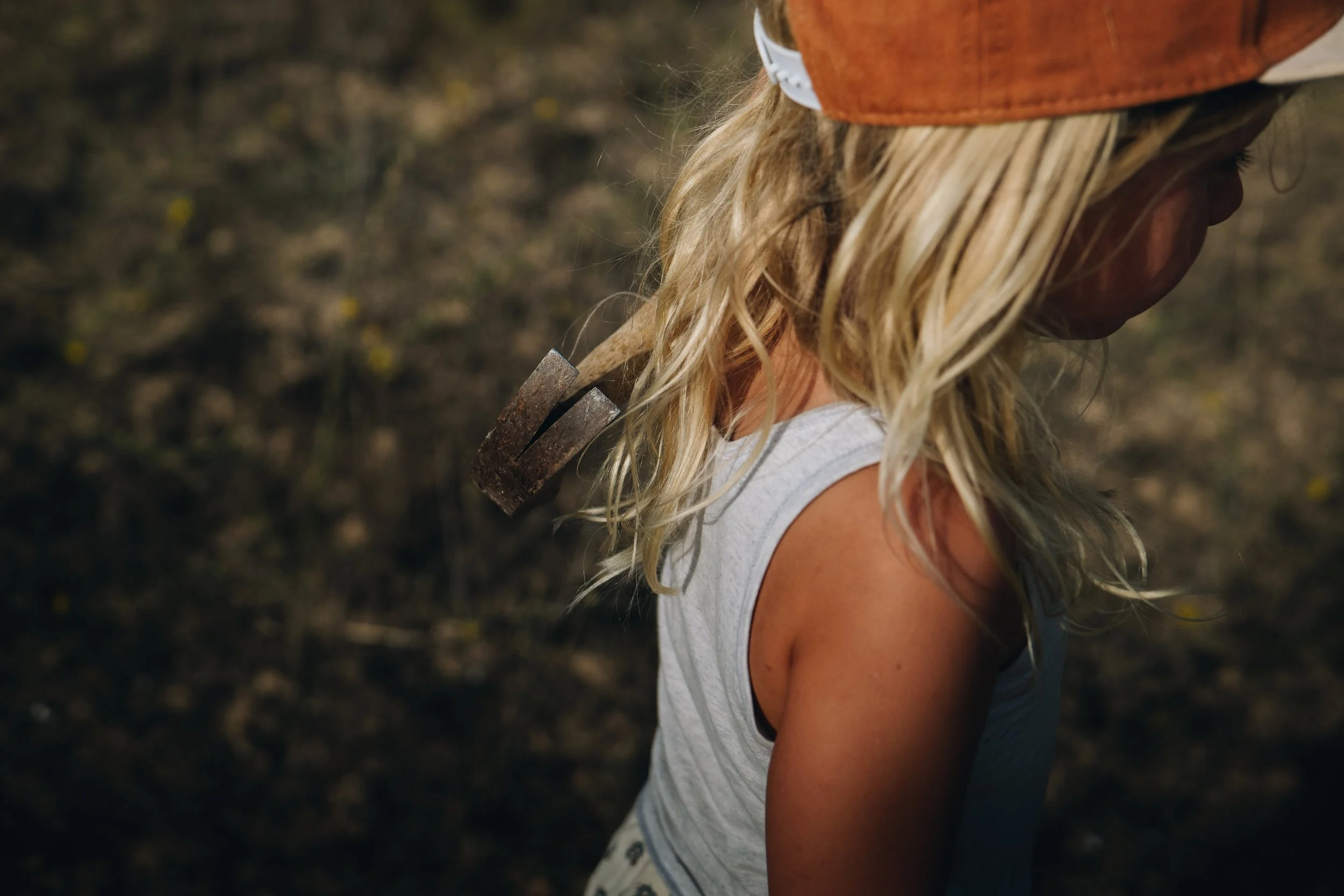 Wildflowers week 34_berdi -3.jpg