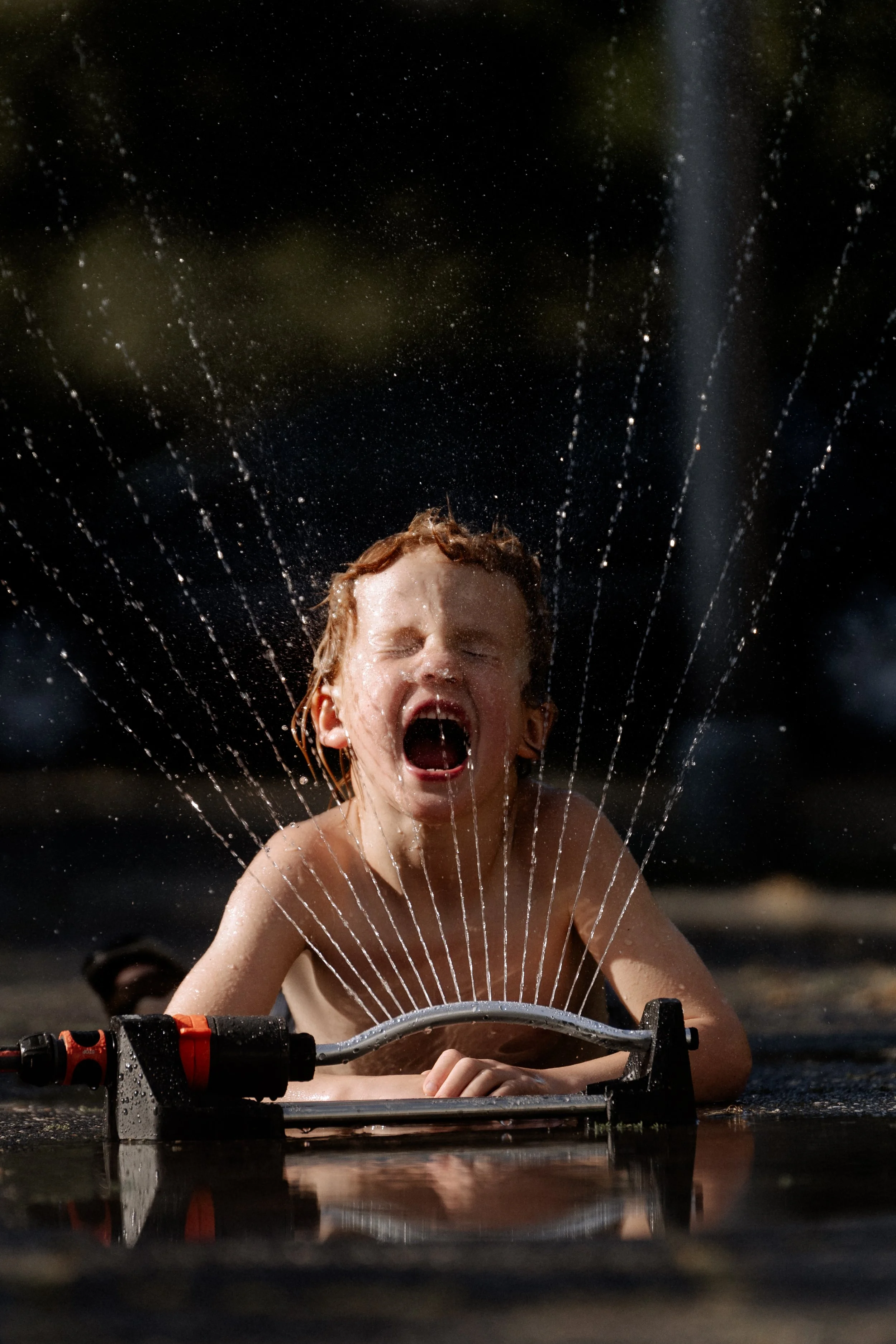 Miek van Kraay Photography -05731.jpg