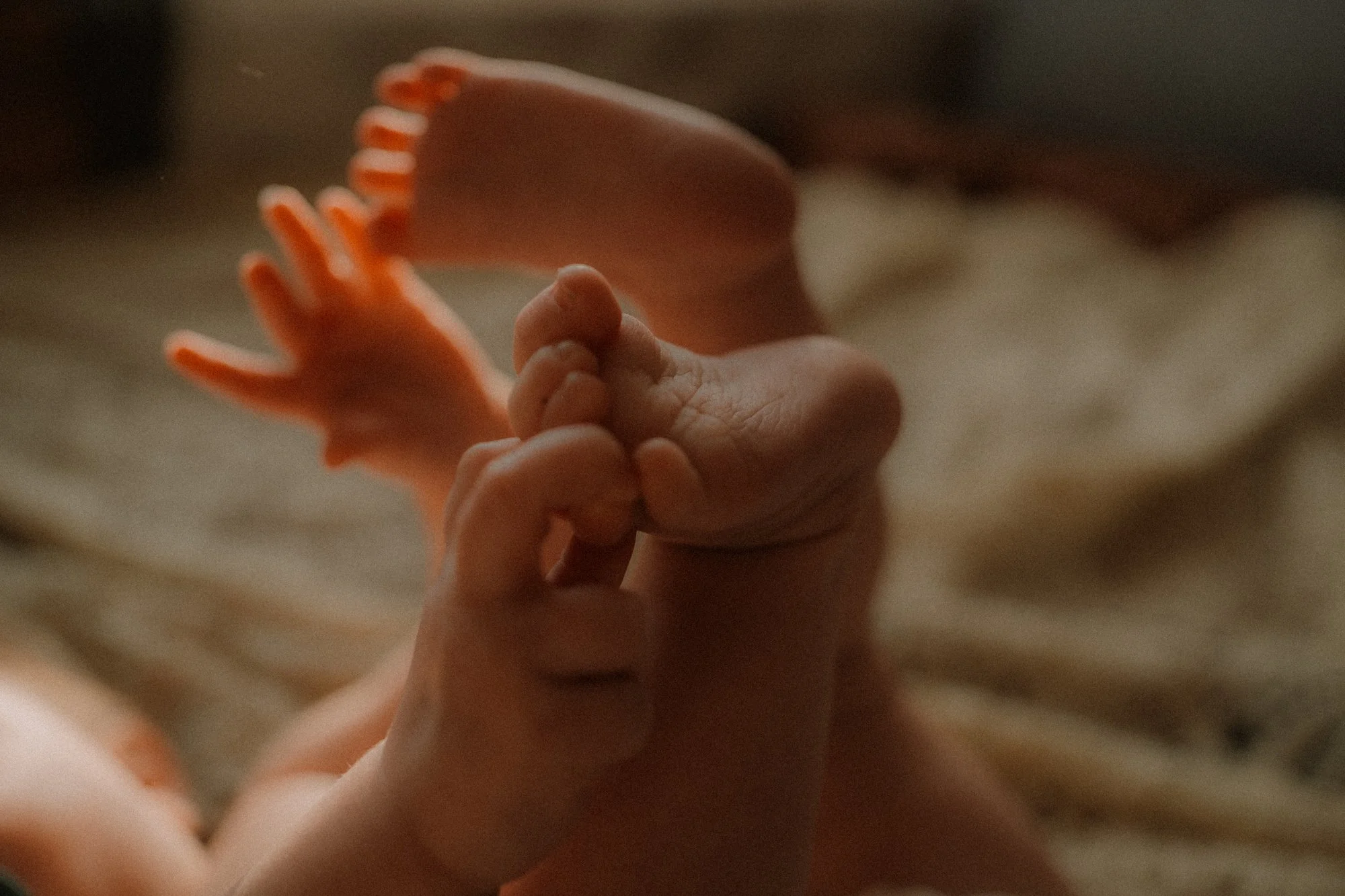 week 5-Nina Olivari fotografie-13.jpg