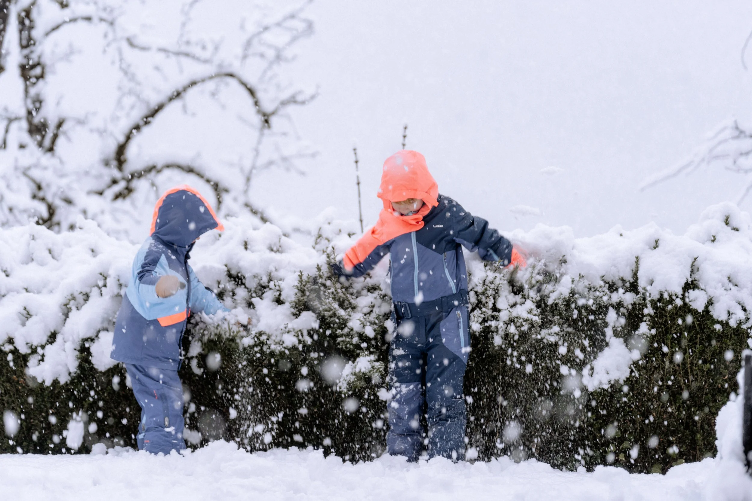 Miek van Kraay Photography -08920.jpg