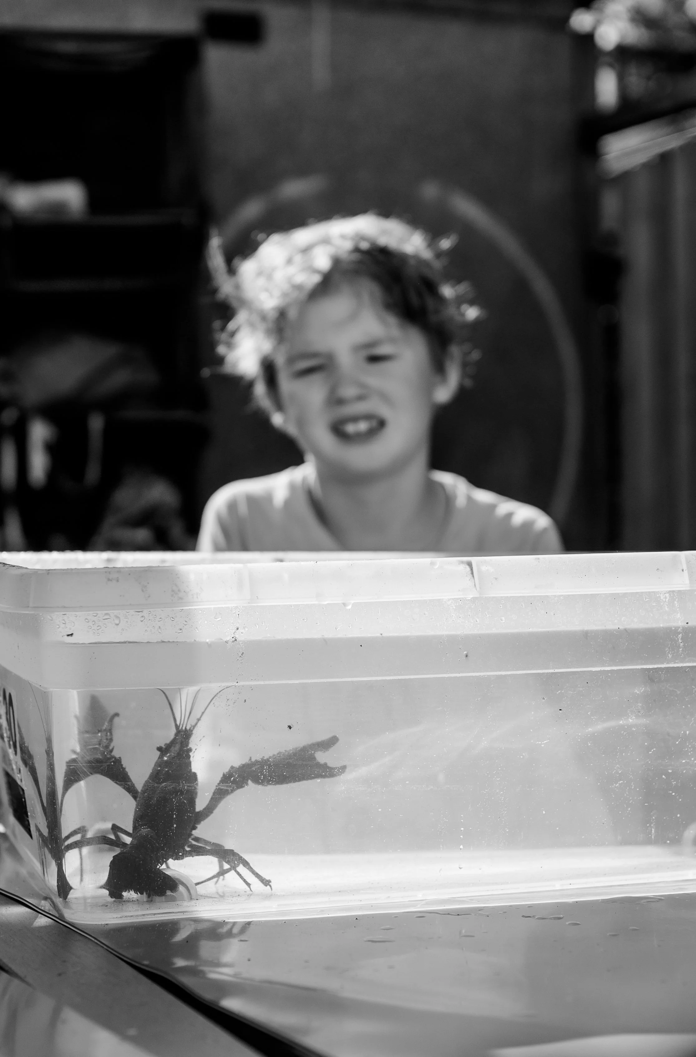 Miek van Kraay Photography -06323-2.jpg