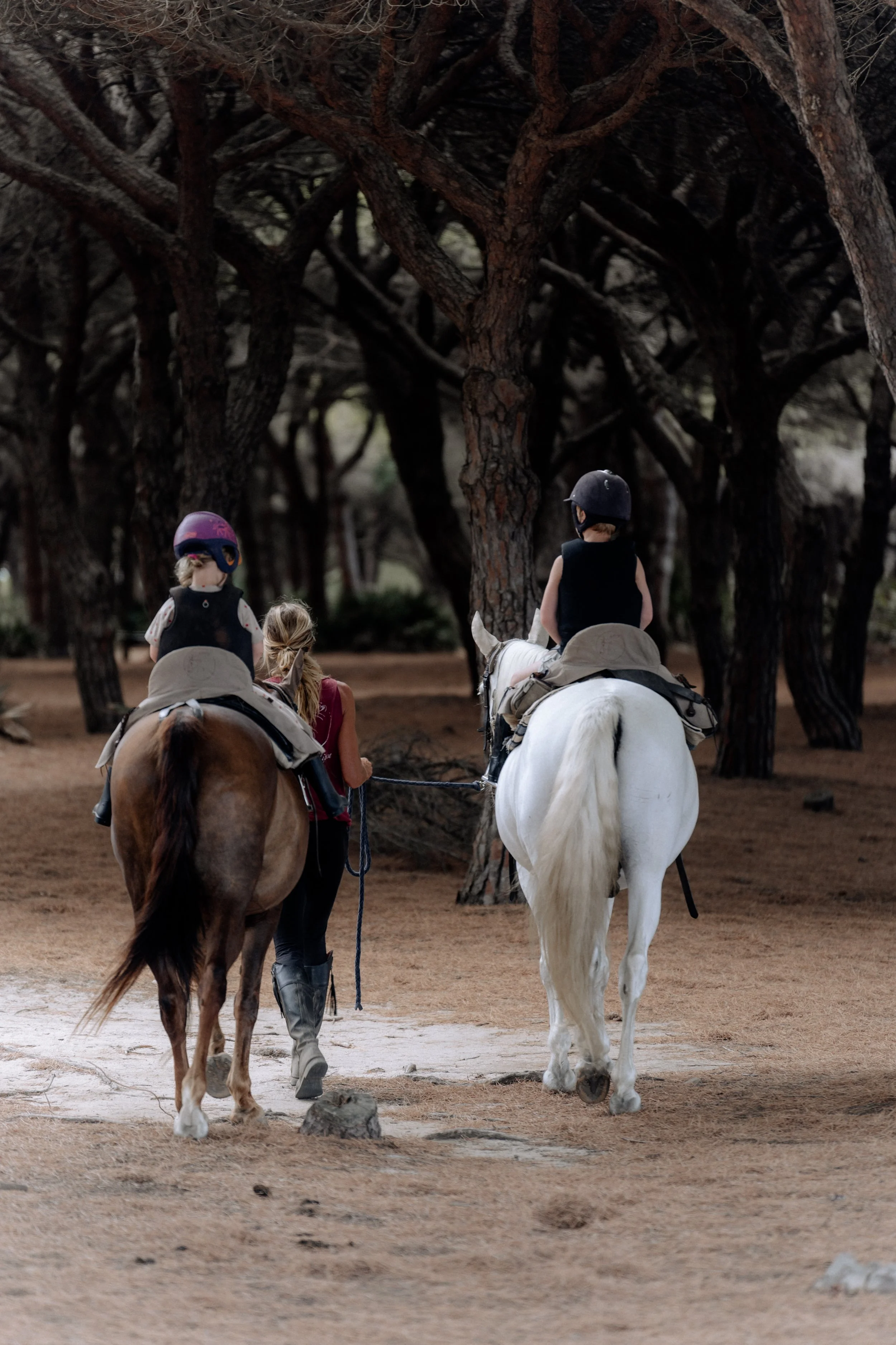 Miek van Kraay Photography -08618.jpg