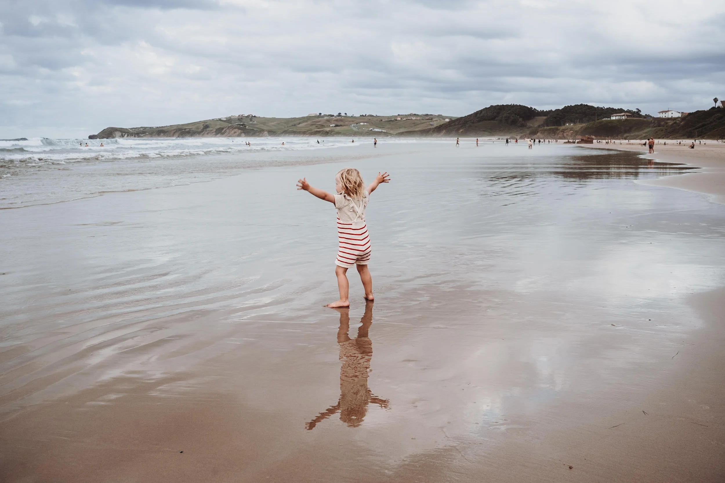 Anne herens wildflowers.jpeg