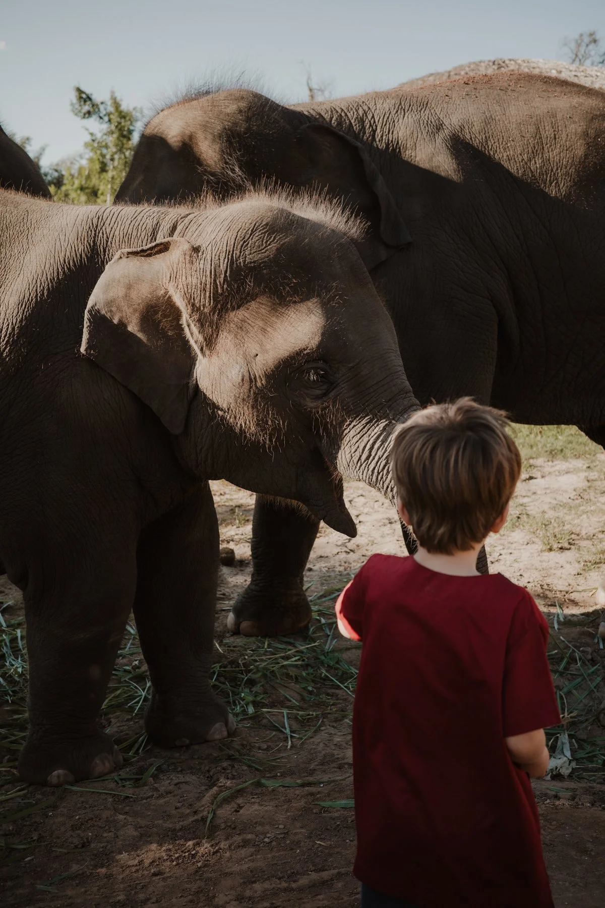 Week48_LiannevdVlist-1-W&T 2-3.jpg